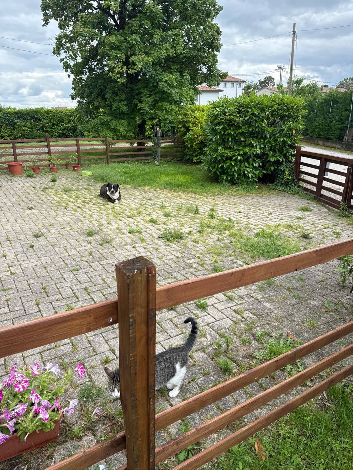 image-24