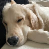 Edgar