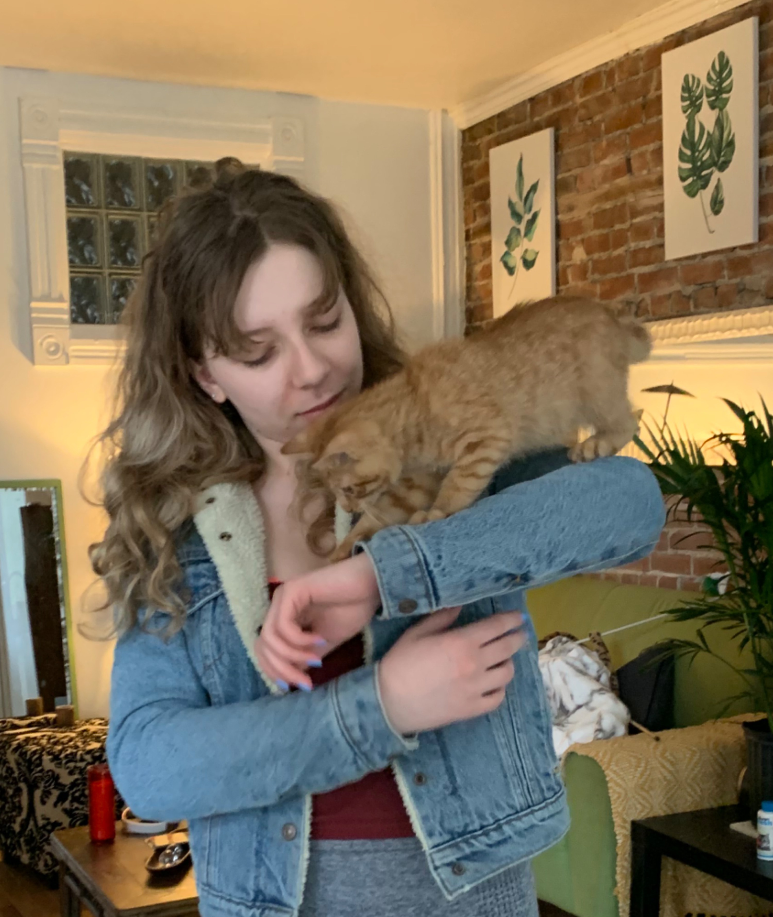 image-2