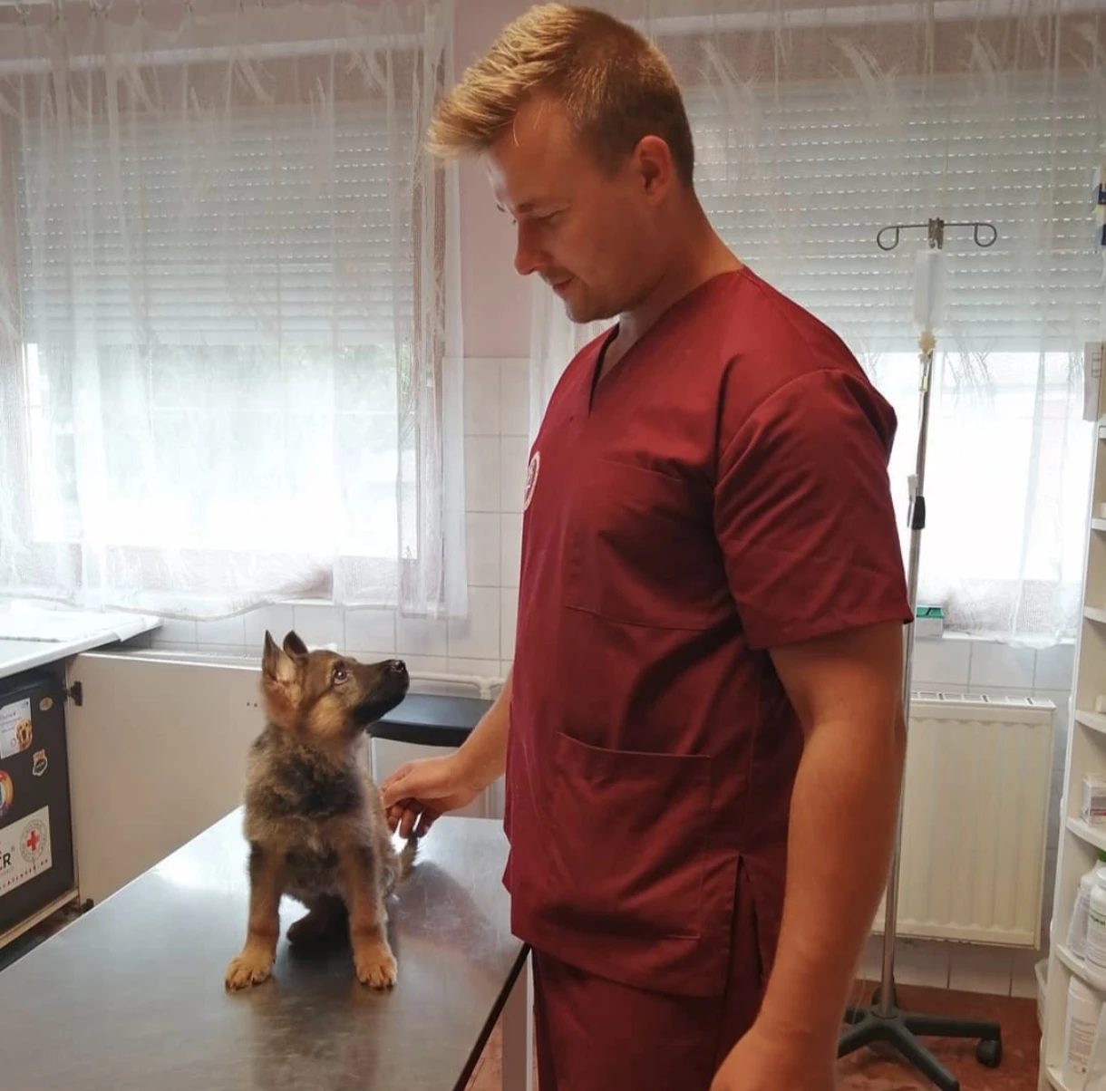 image-6