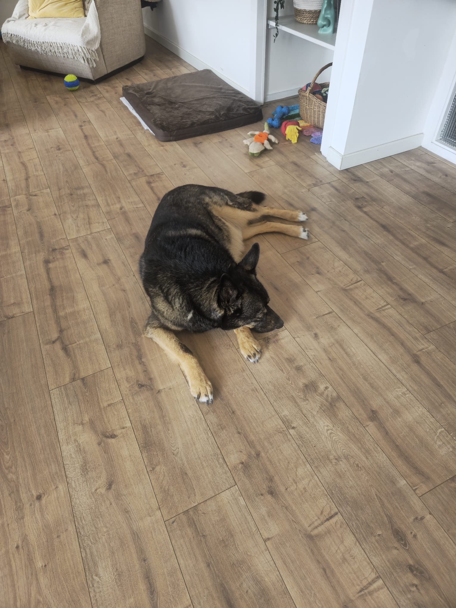 image-10