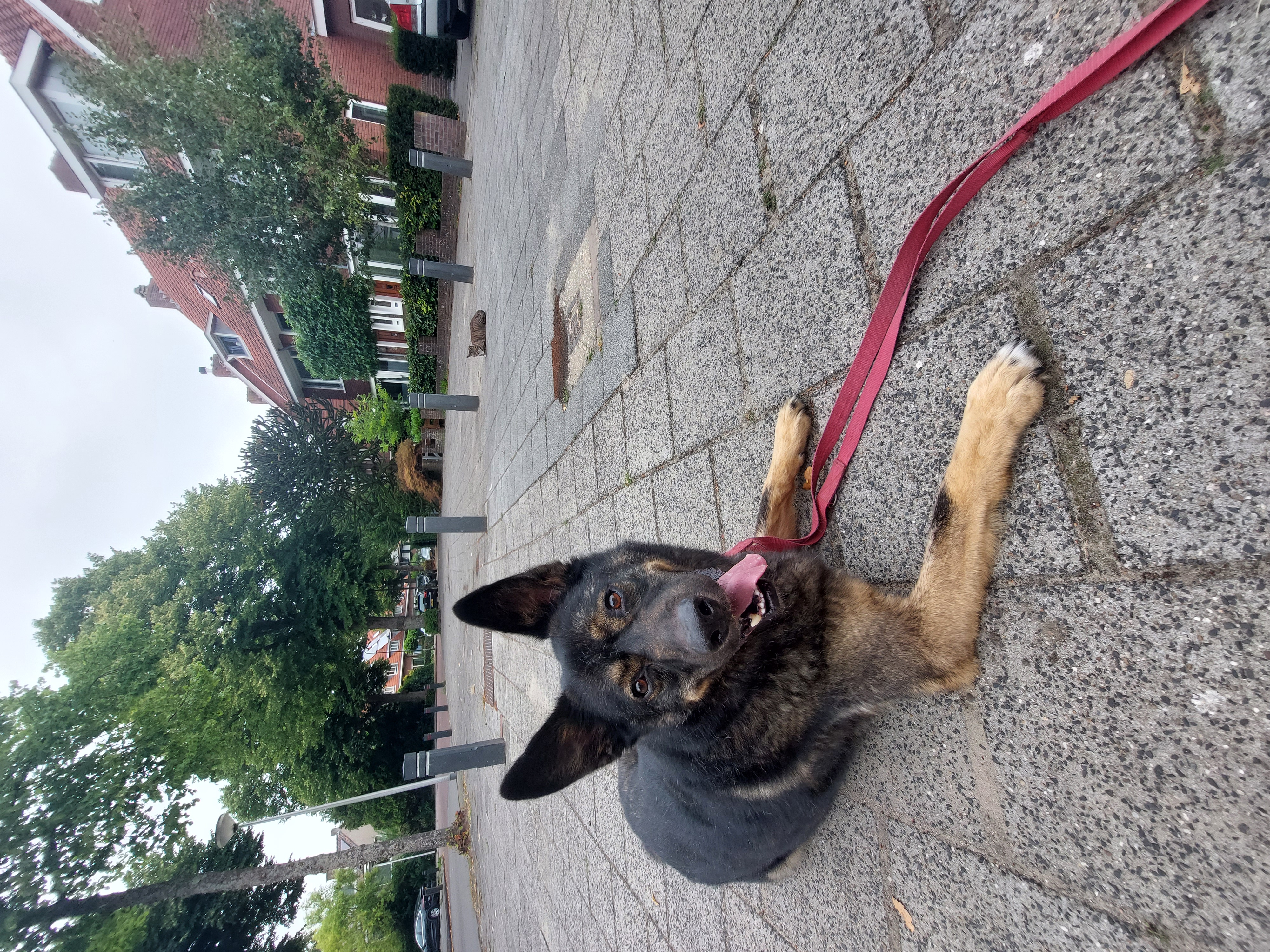 image-5