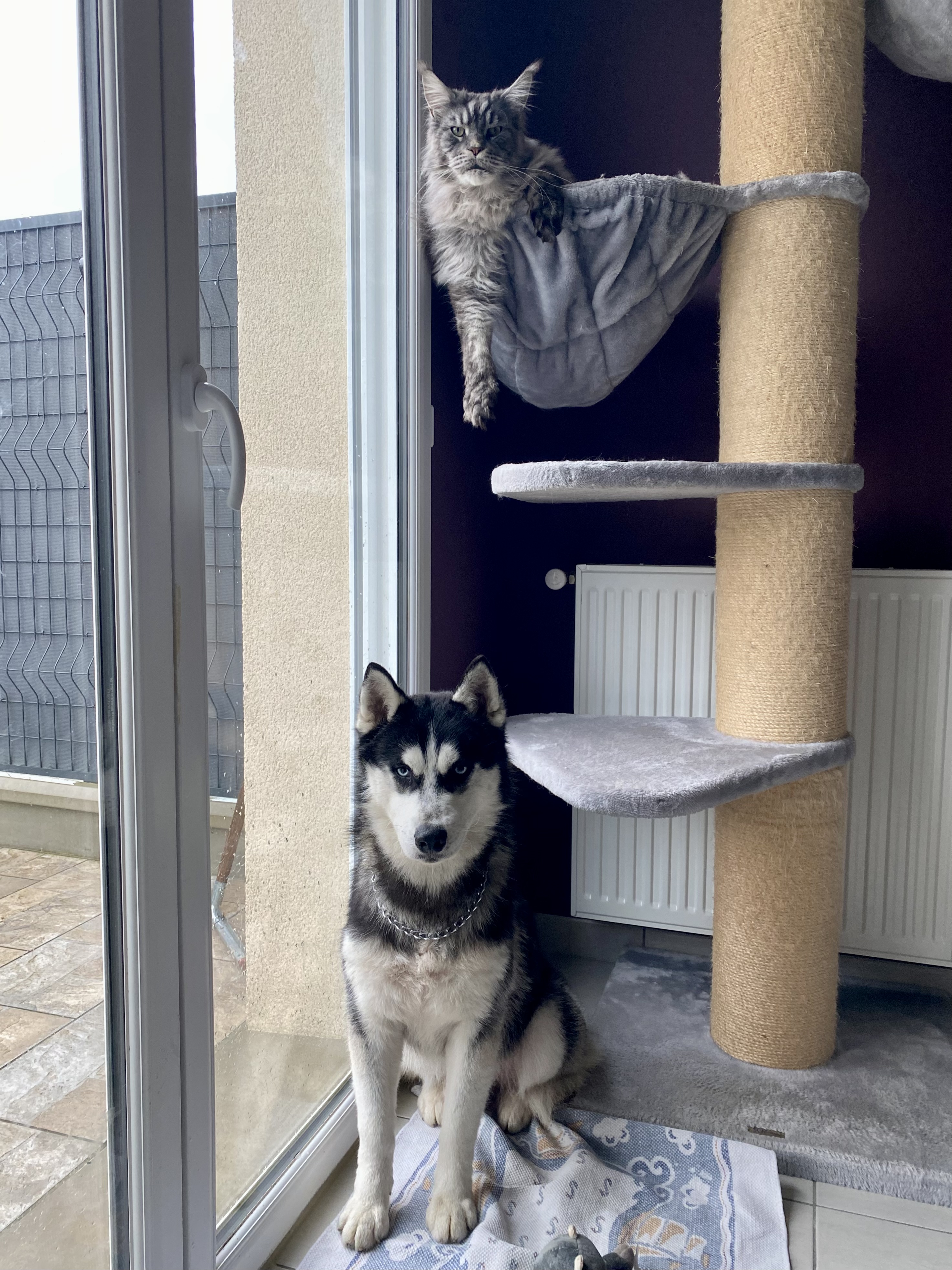 image-18