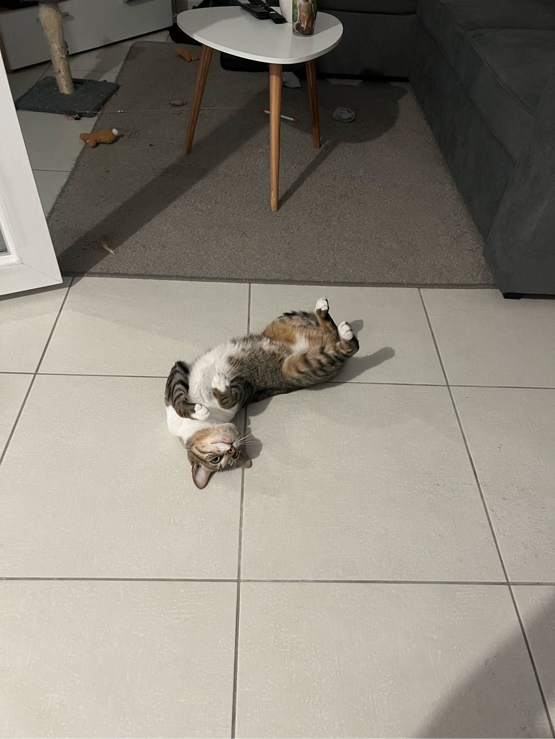 image-6