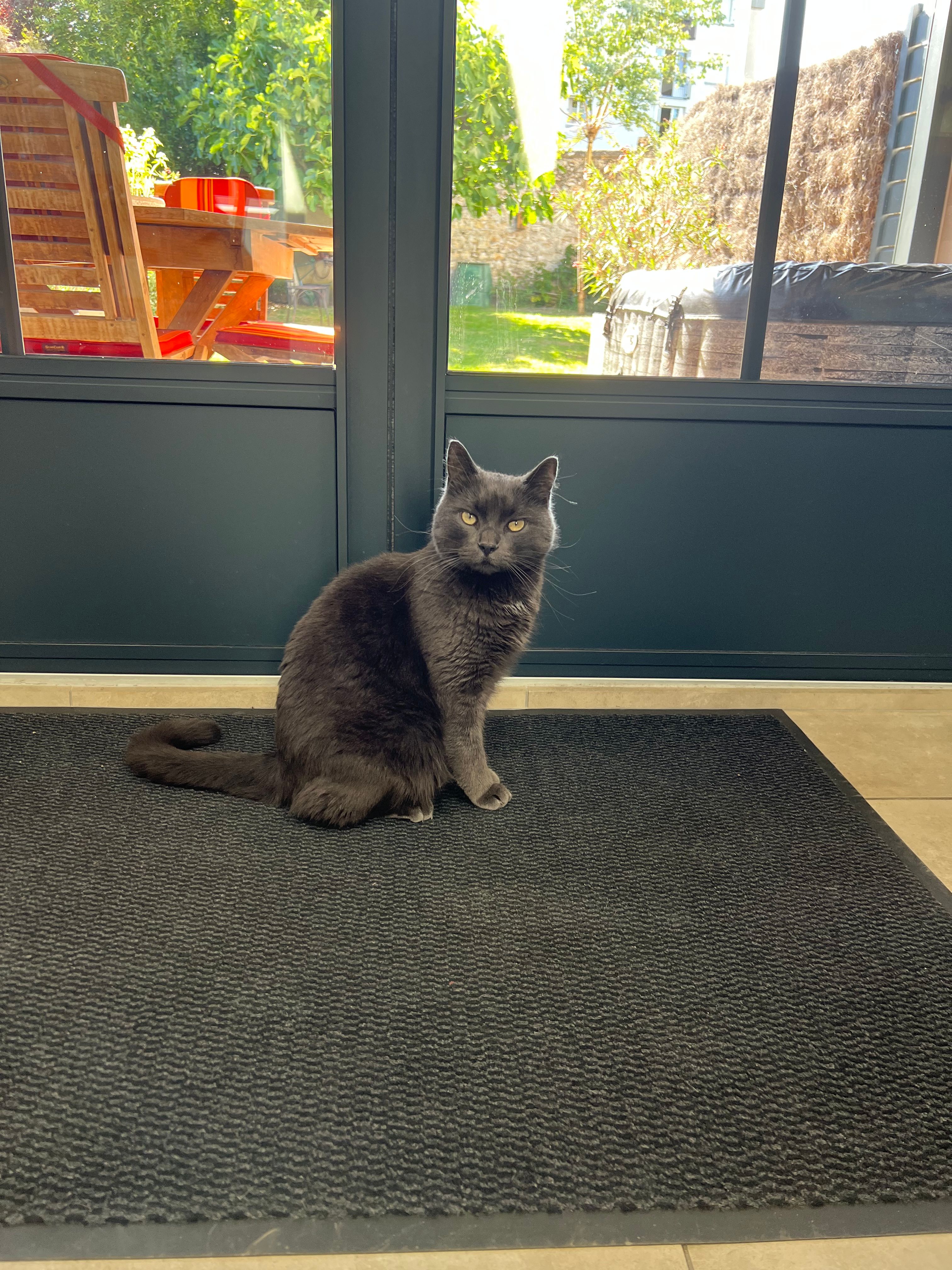 image-16