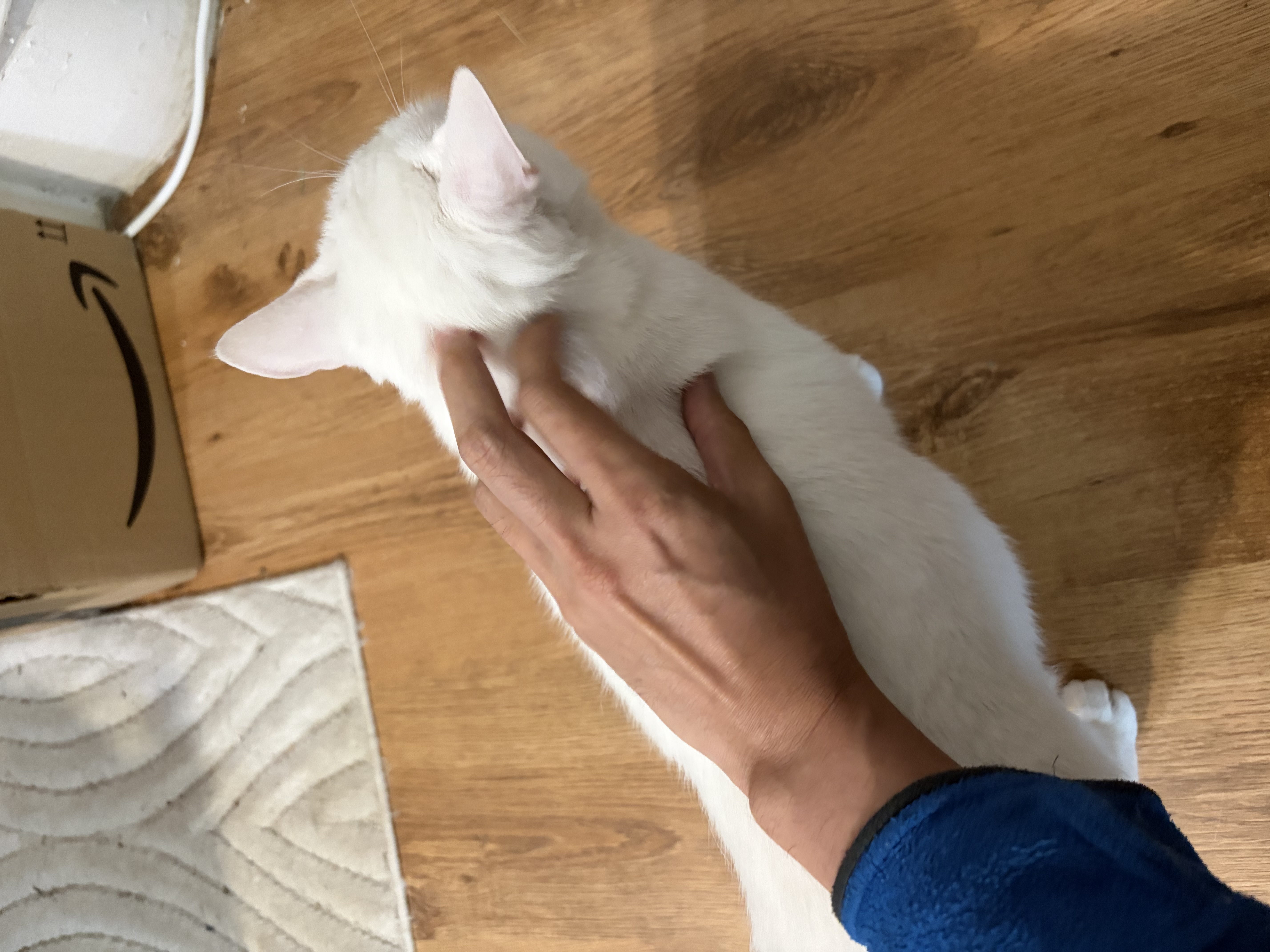 image-10