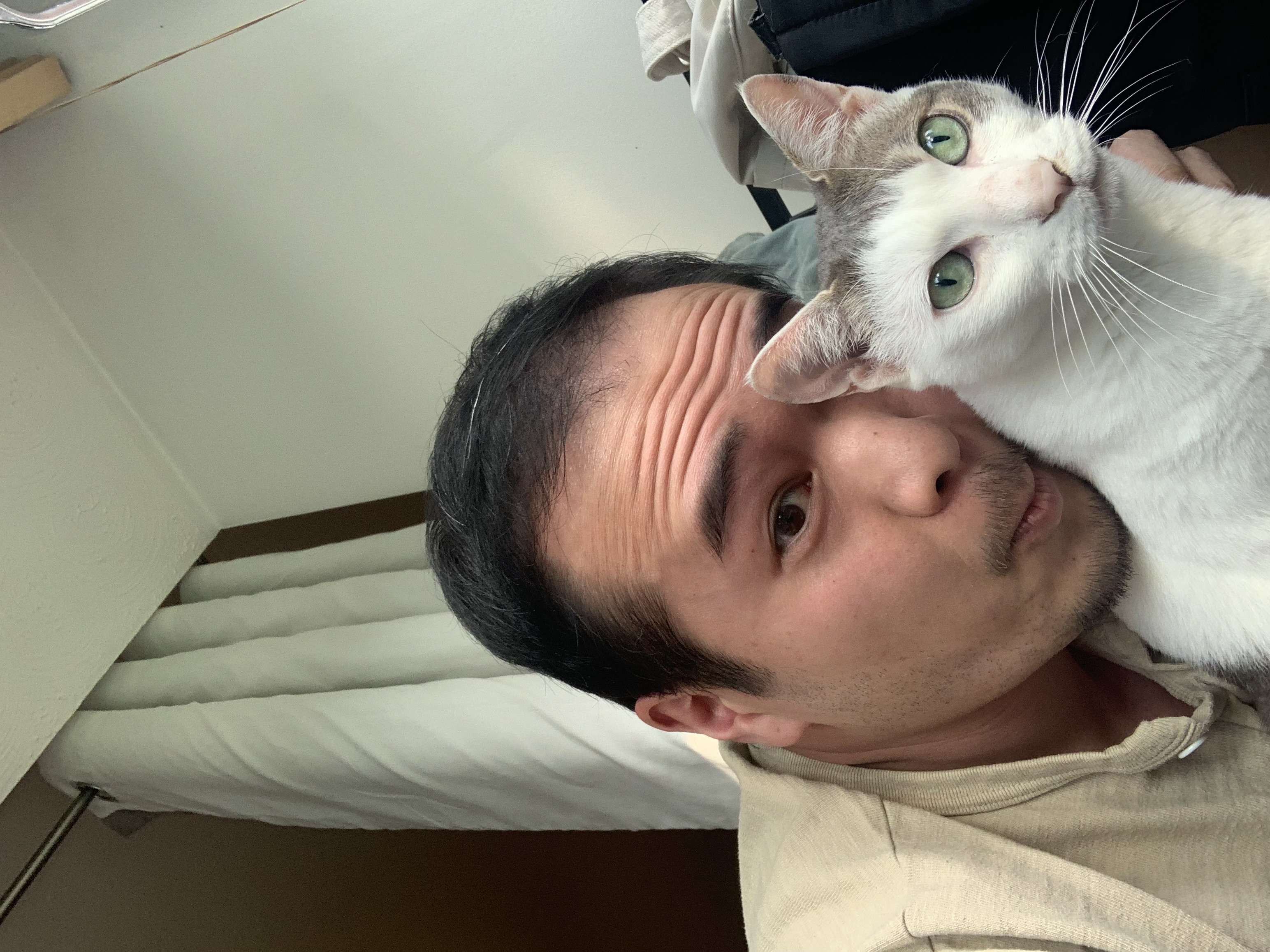 image-6