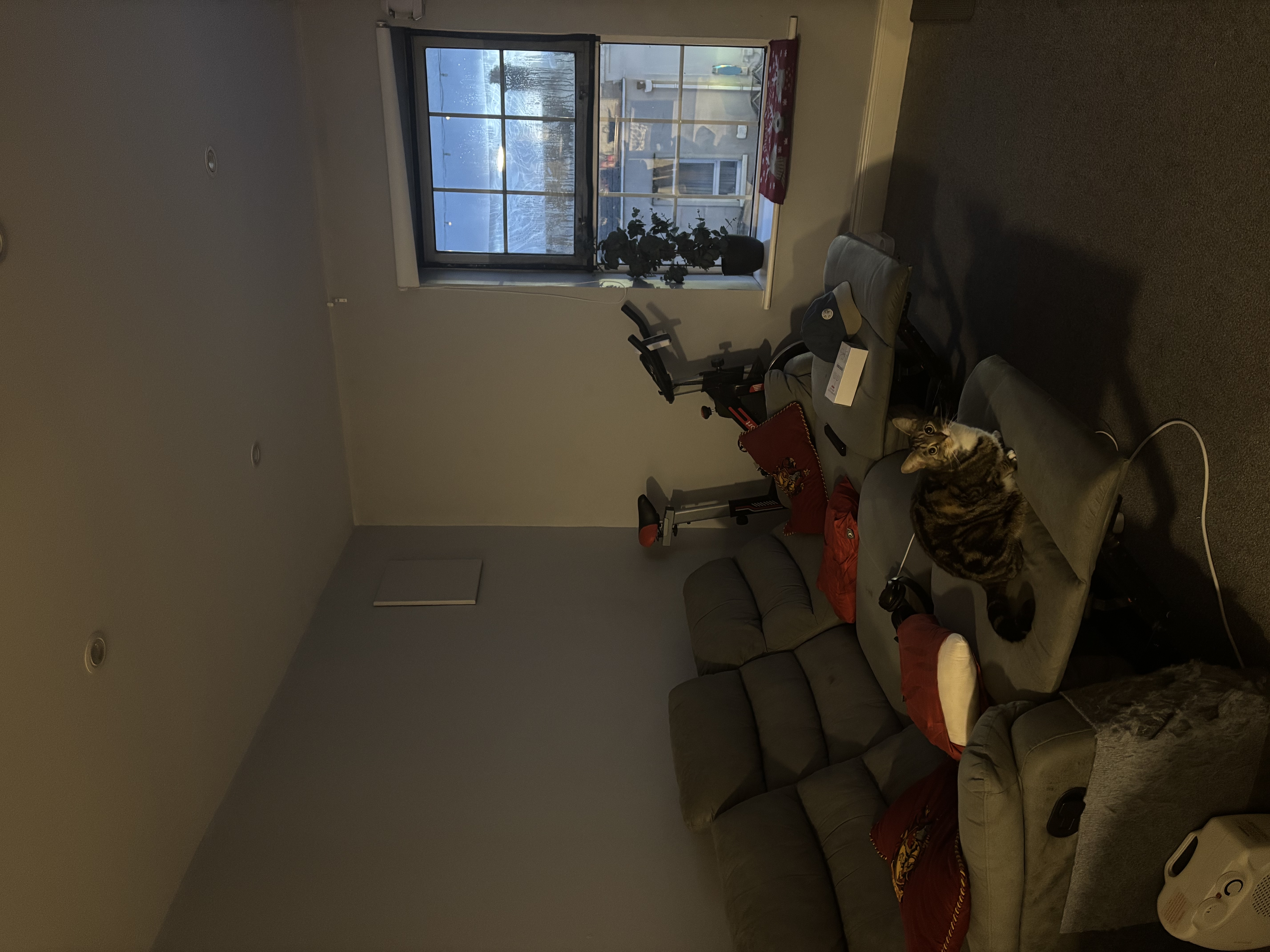 image-6