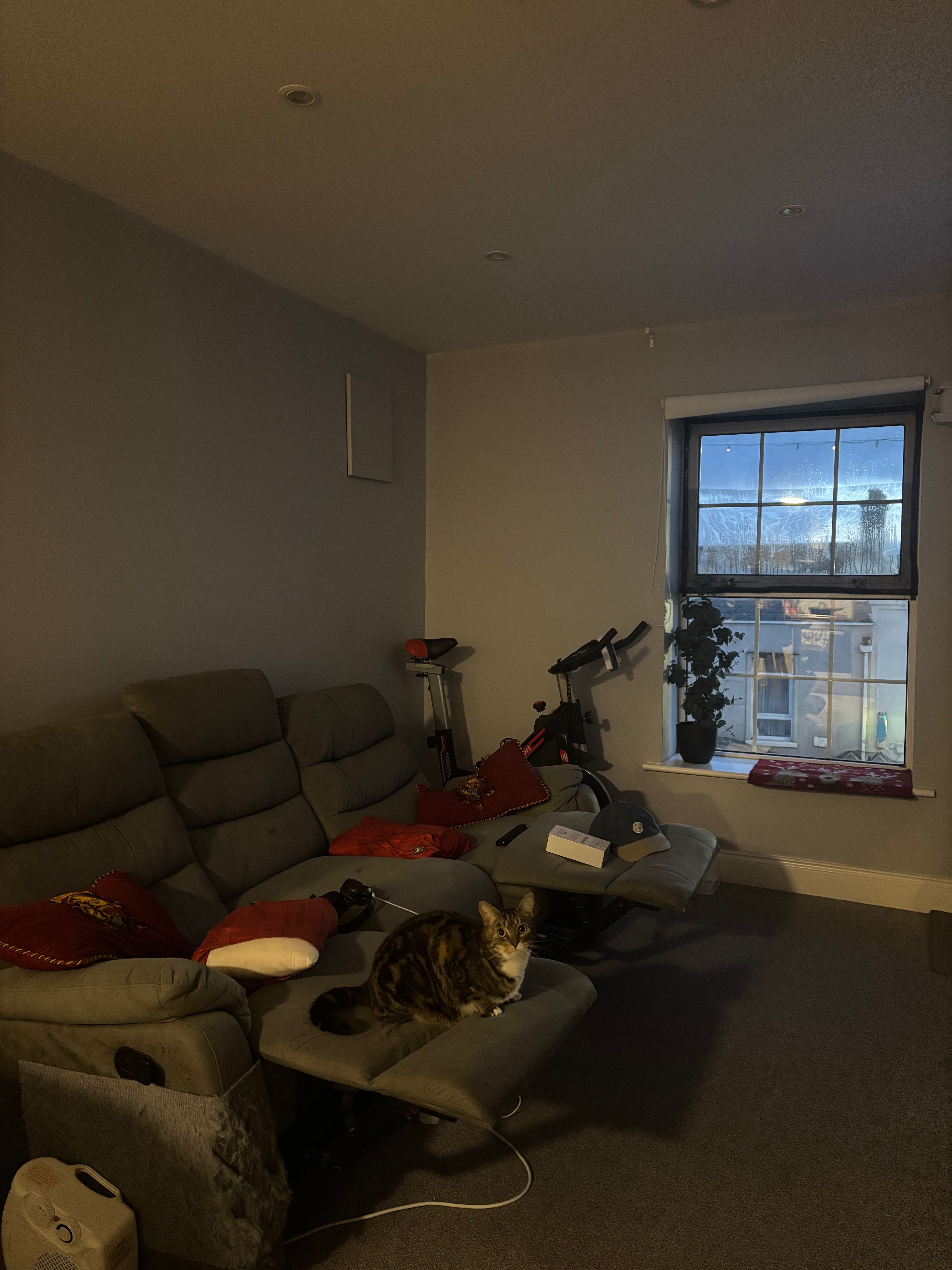 image-6