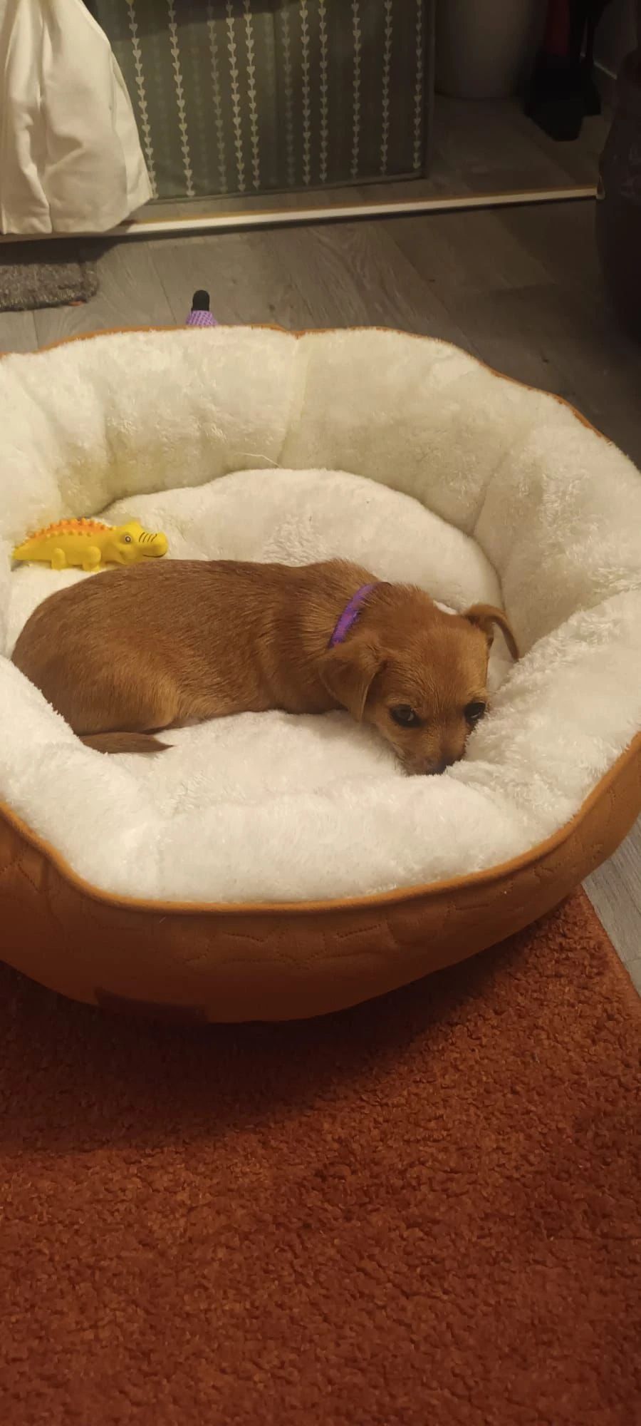 image-3