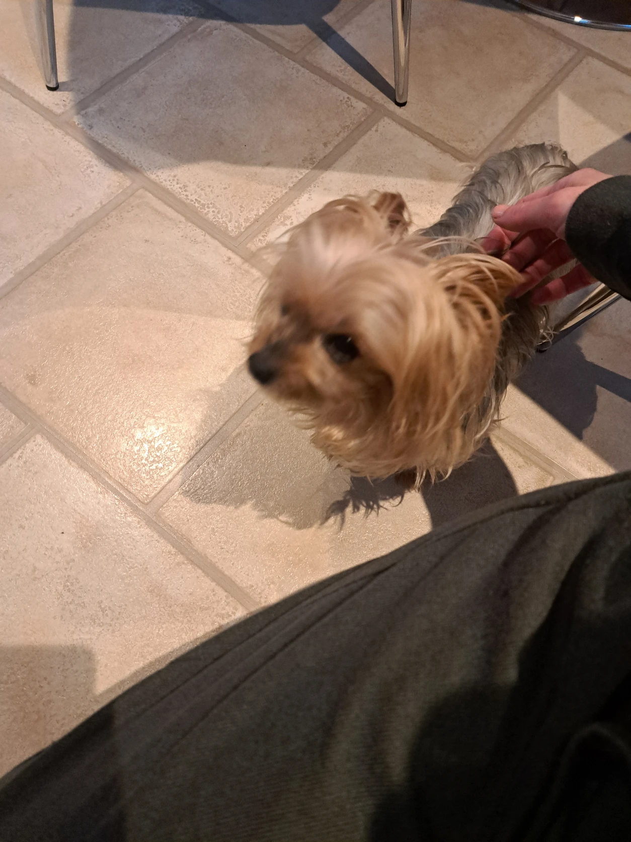 image-16