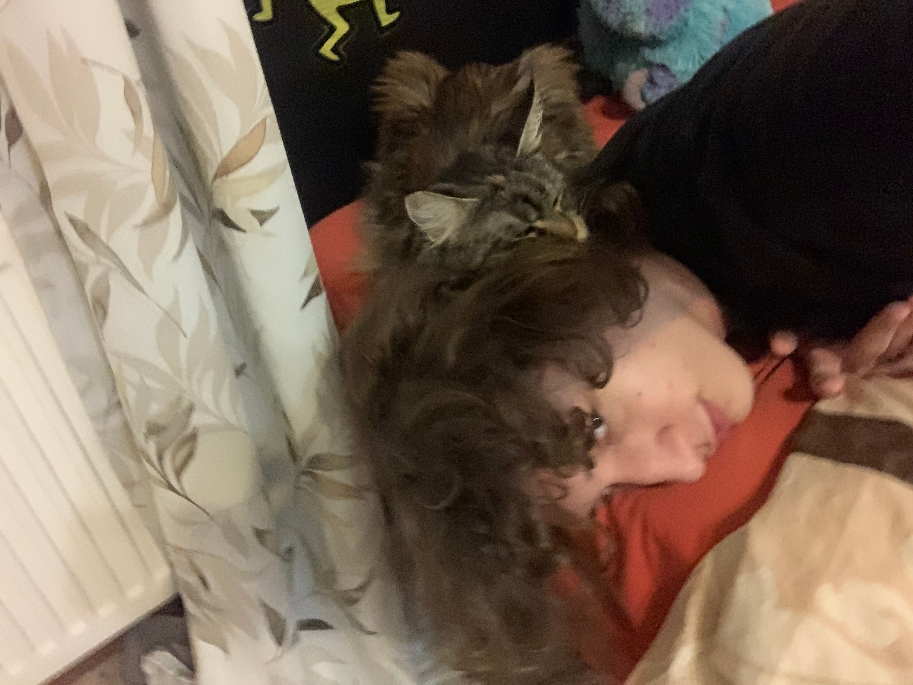 image-8