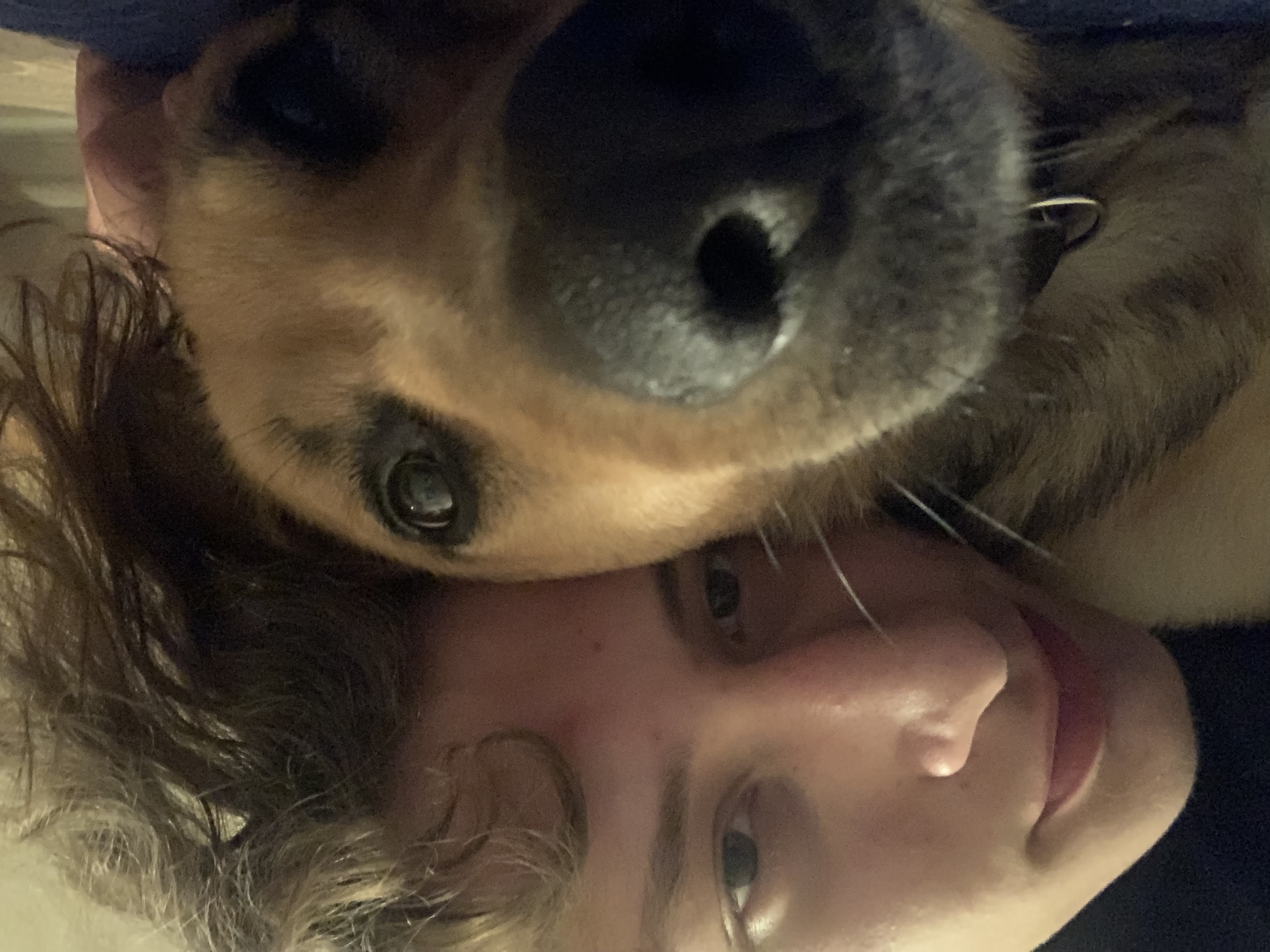 image-7
