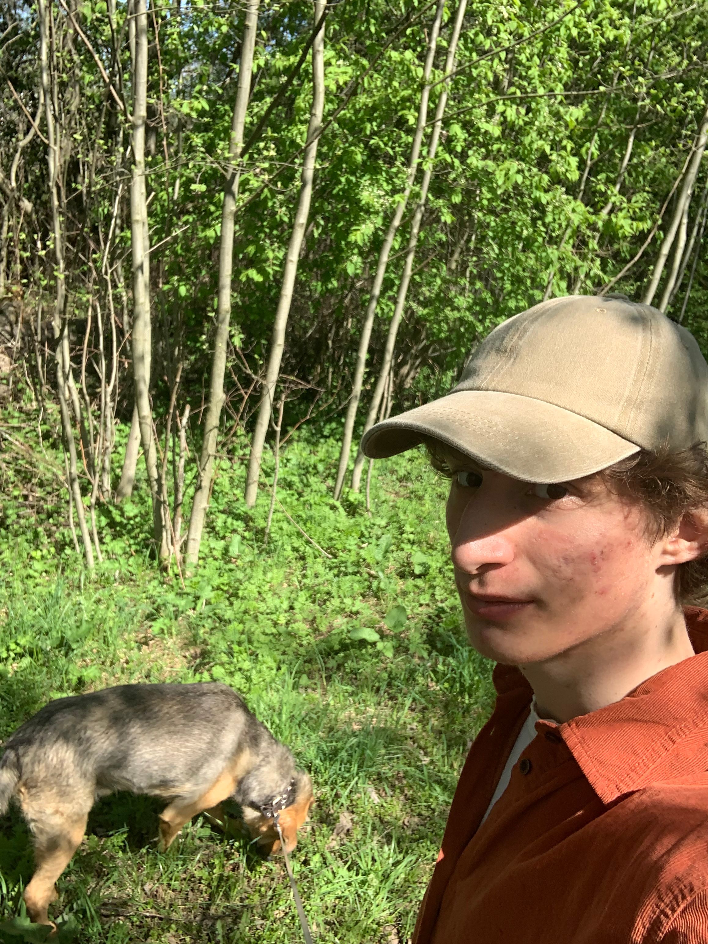 image-3