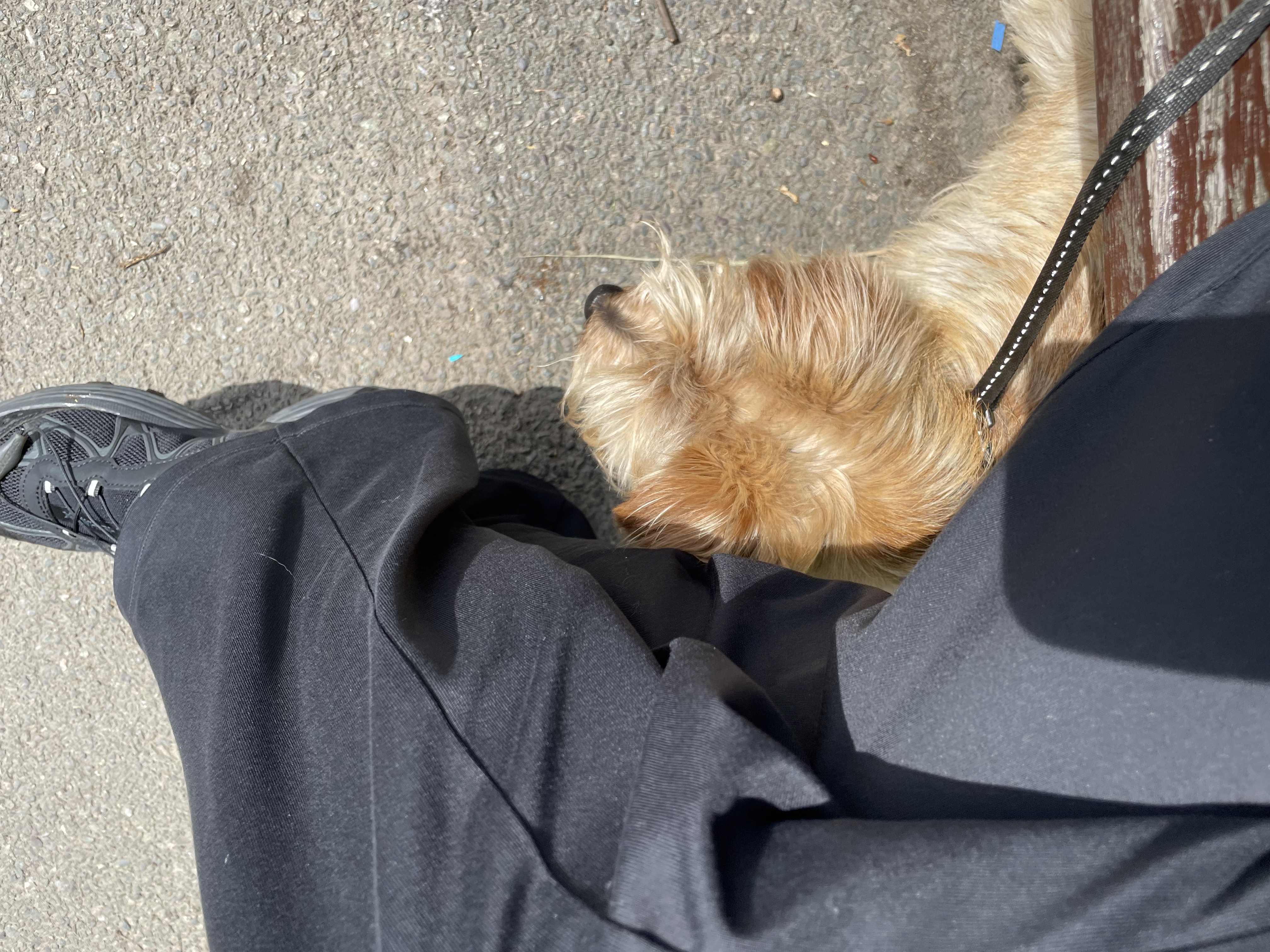 image-7