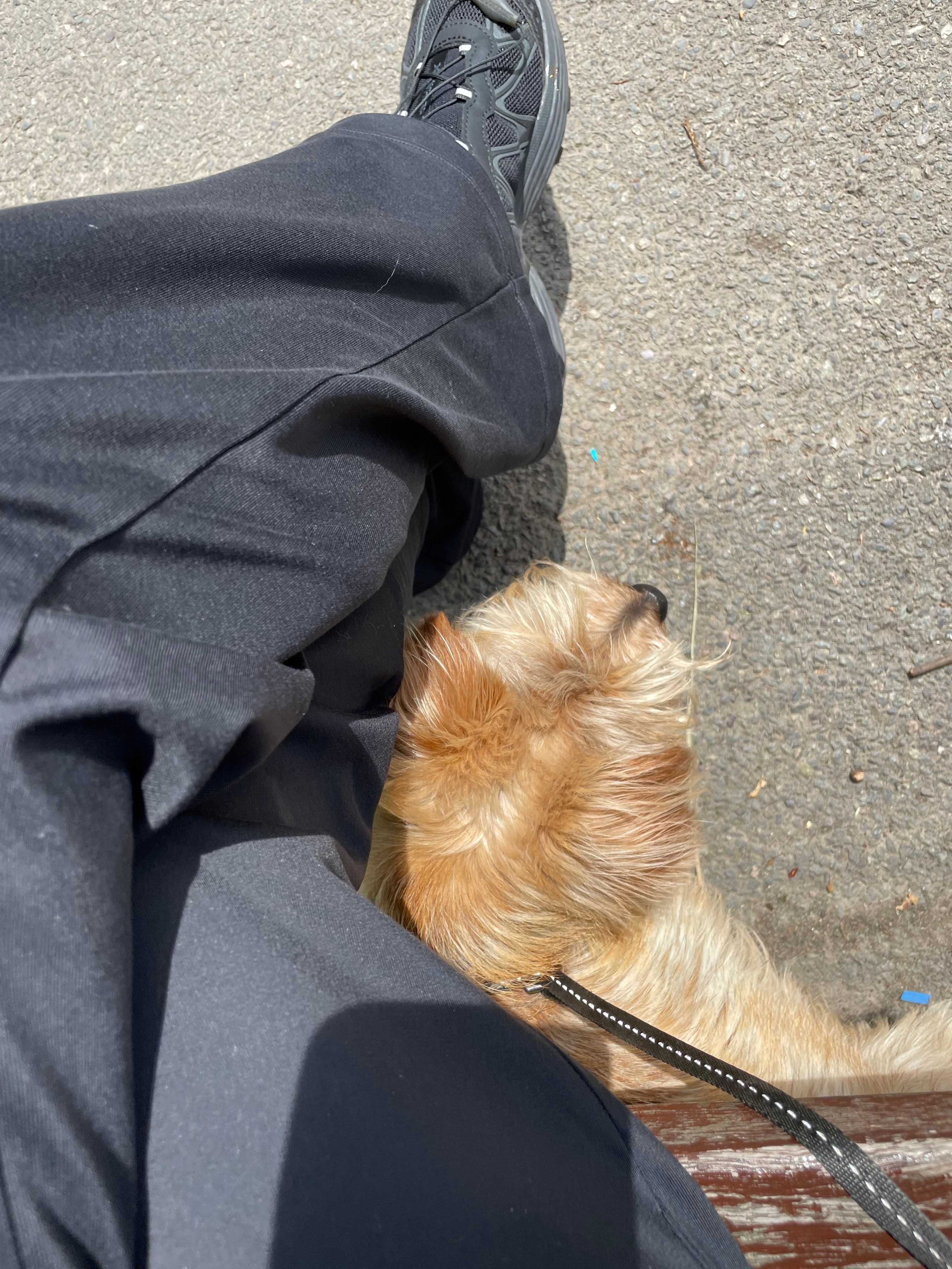 image-7