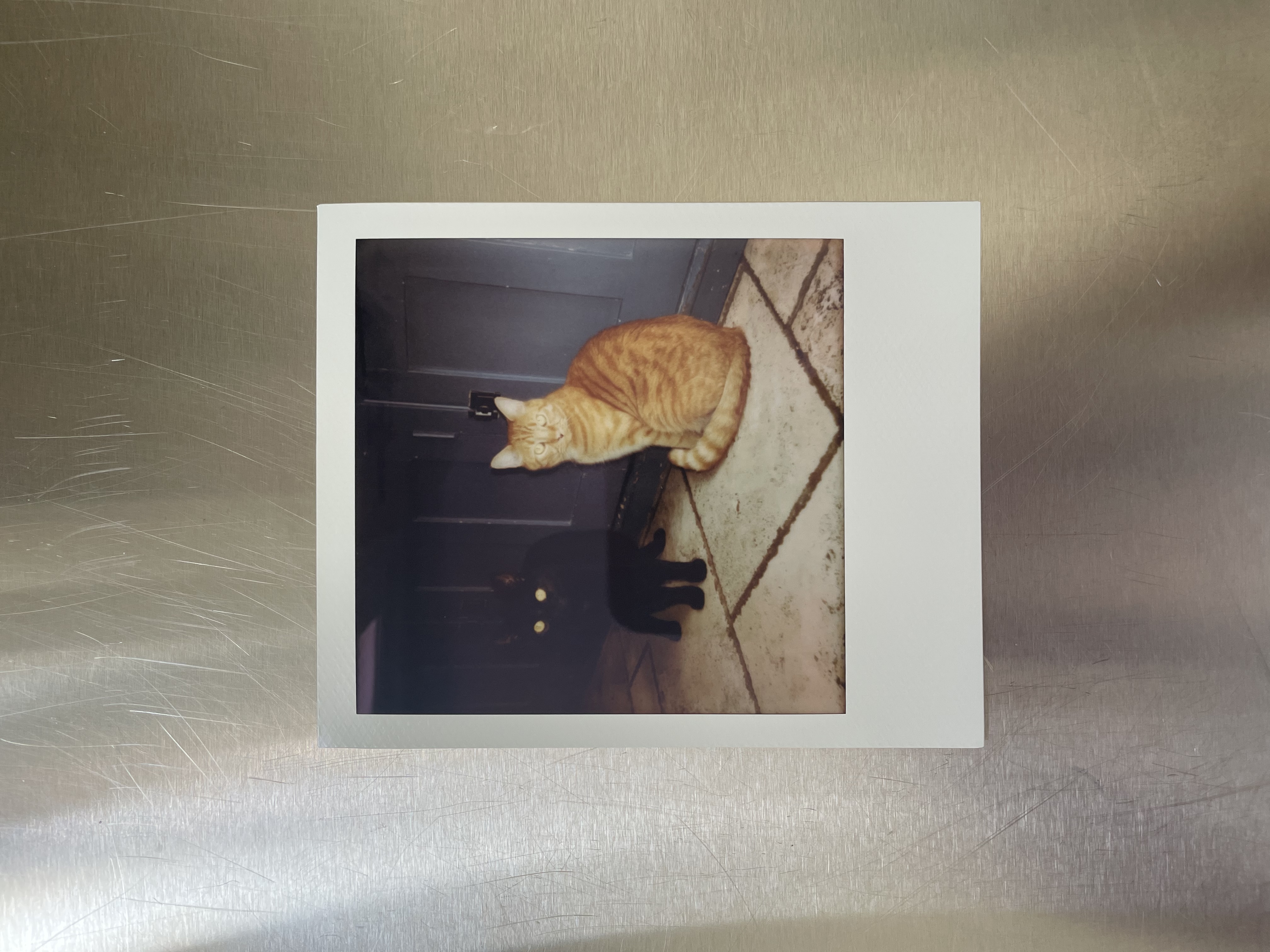 image-2