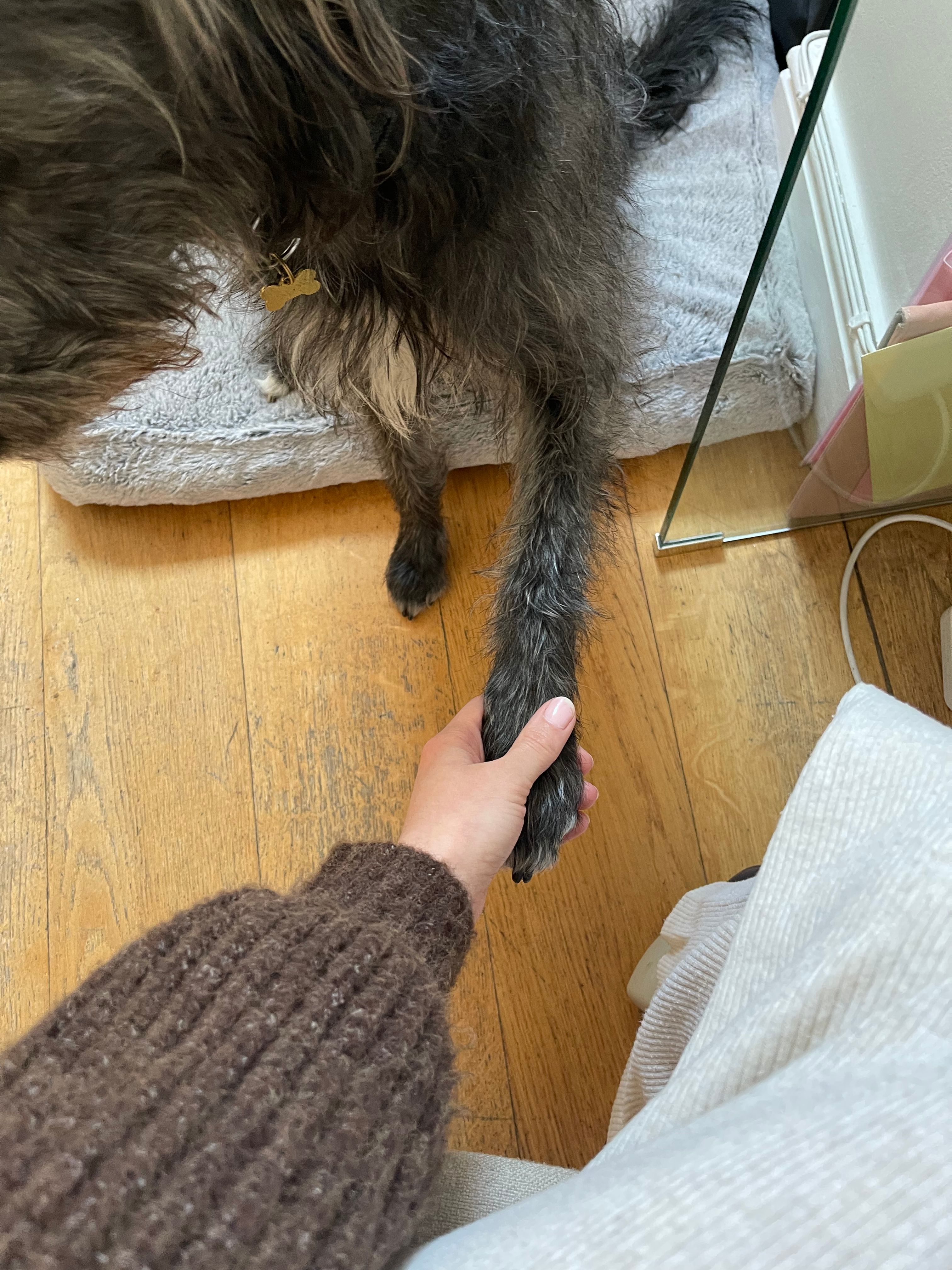 image-6
