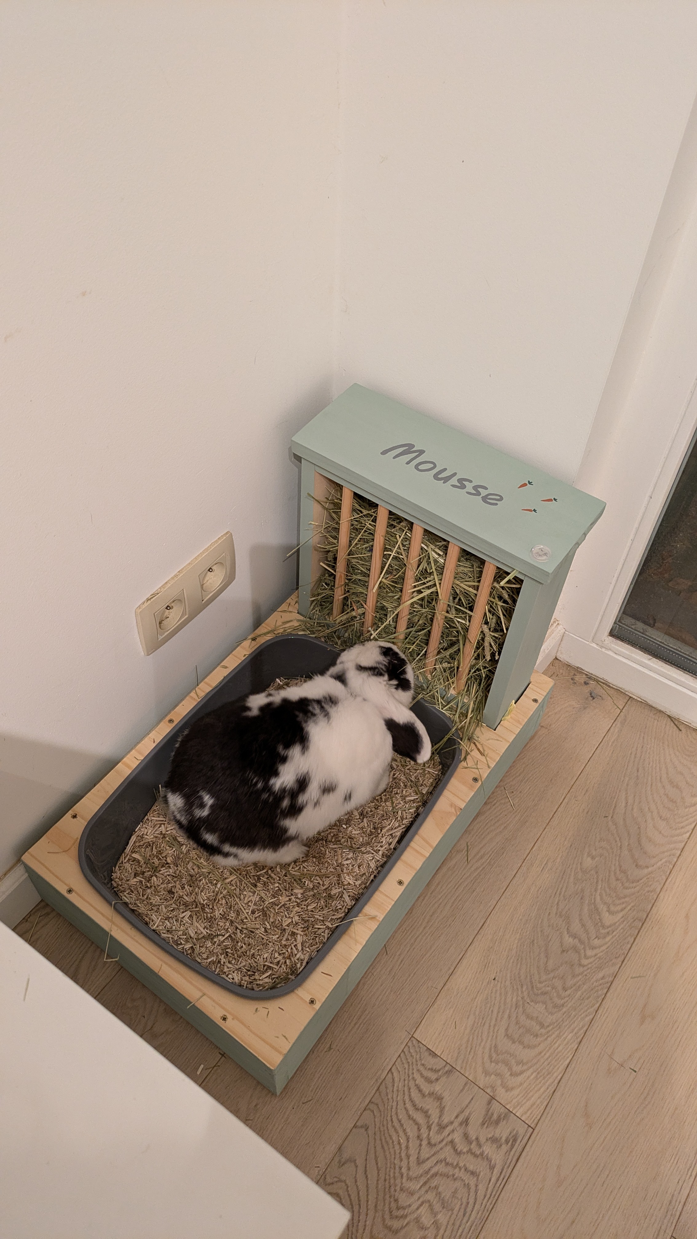 image-4