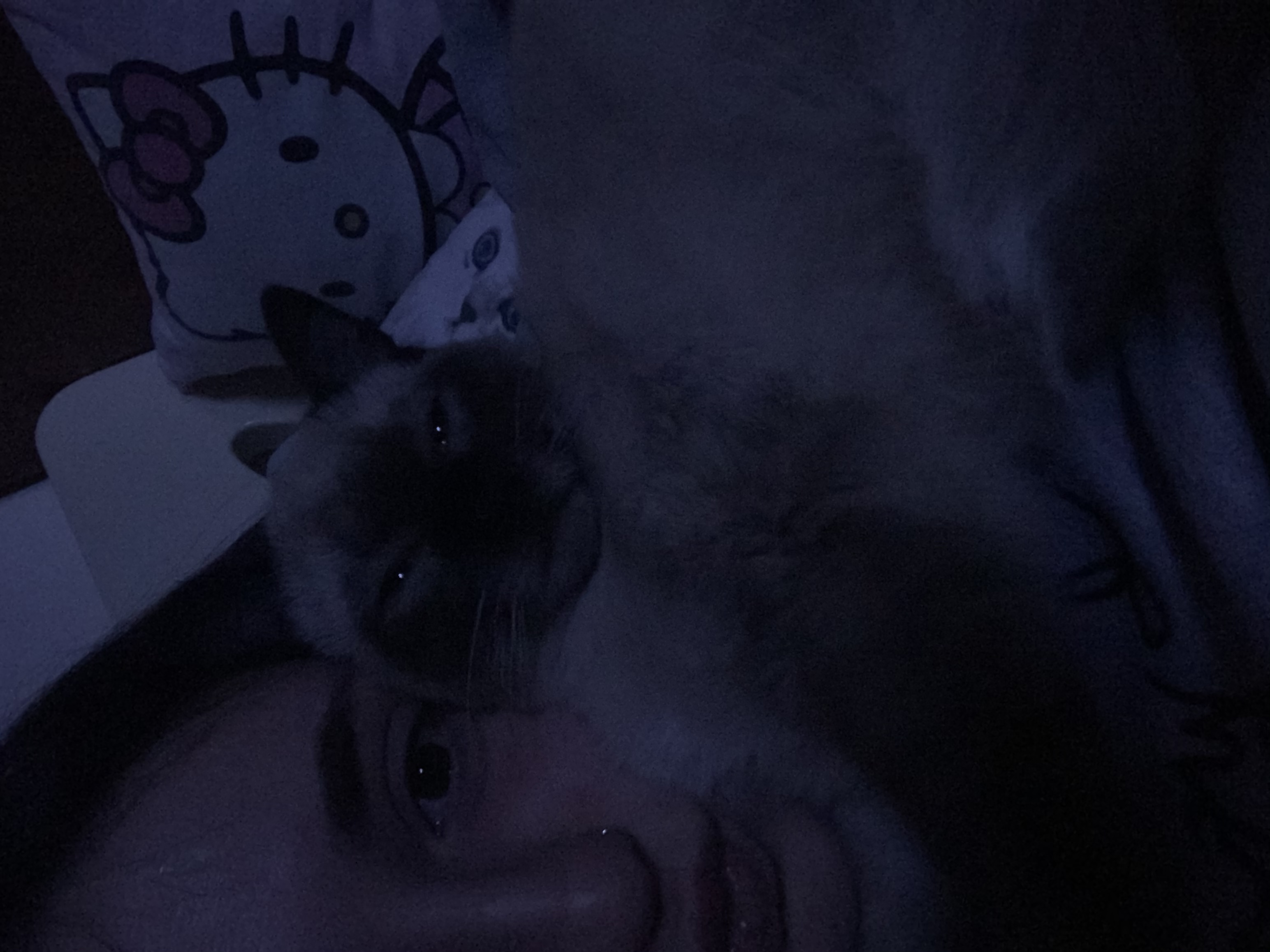 image-9
