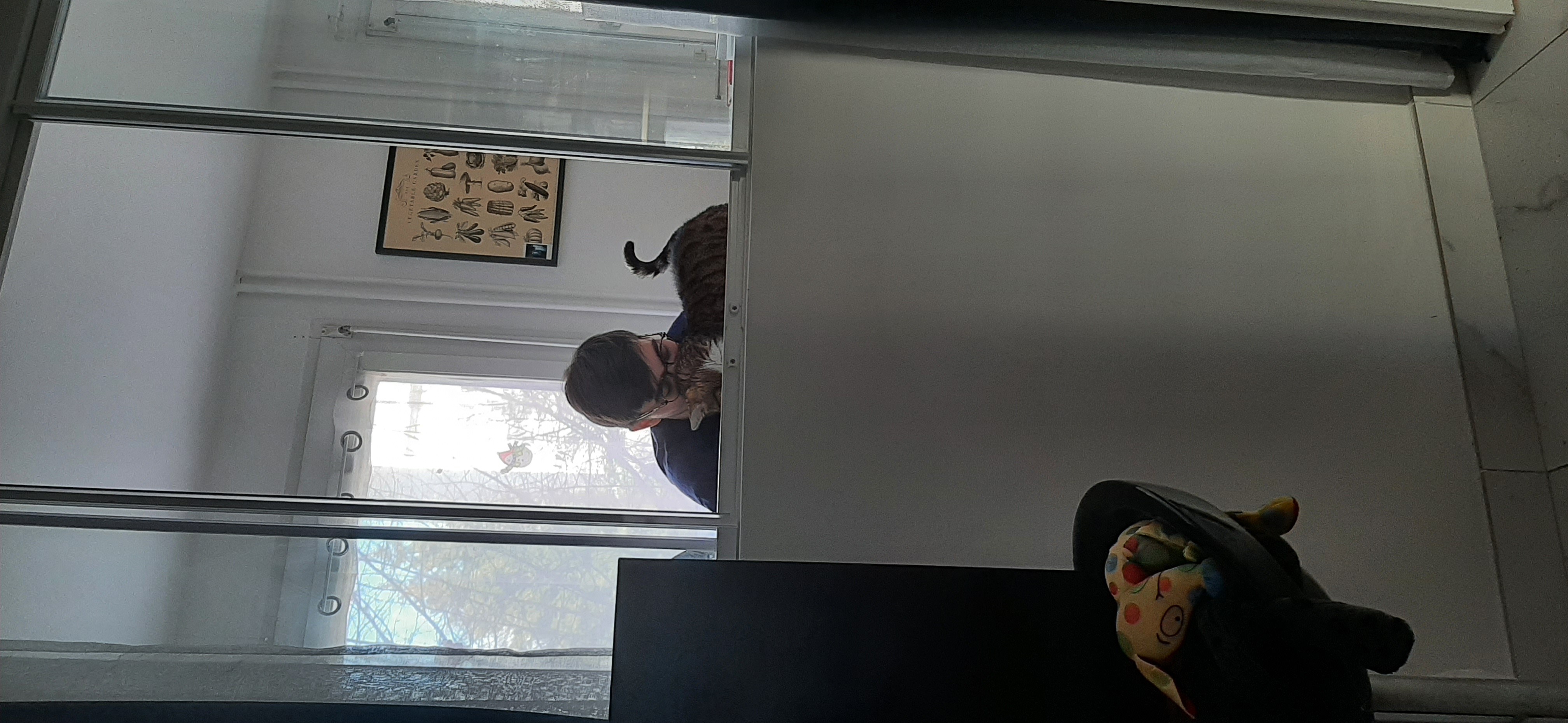 image-4