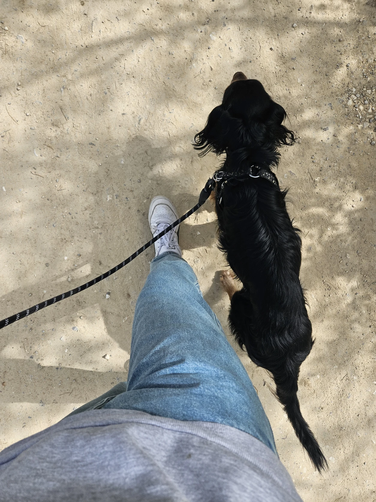 image-8