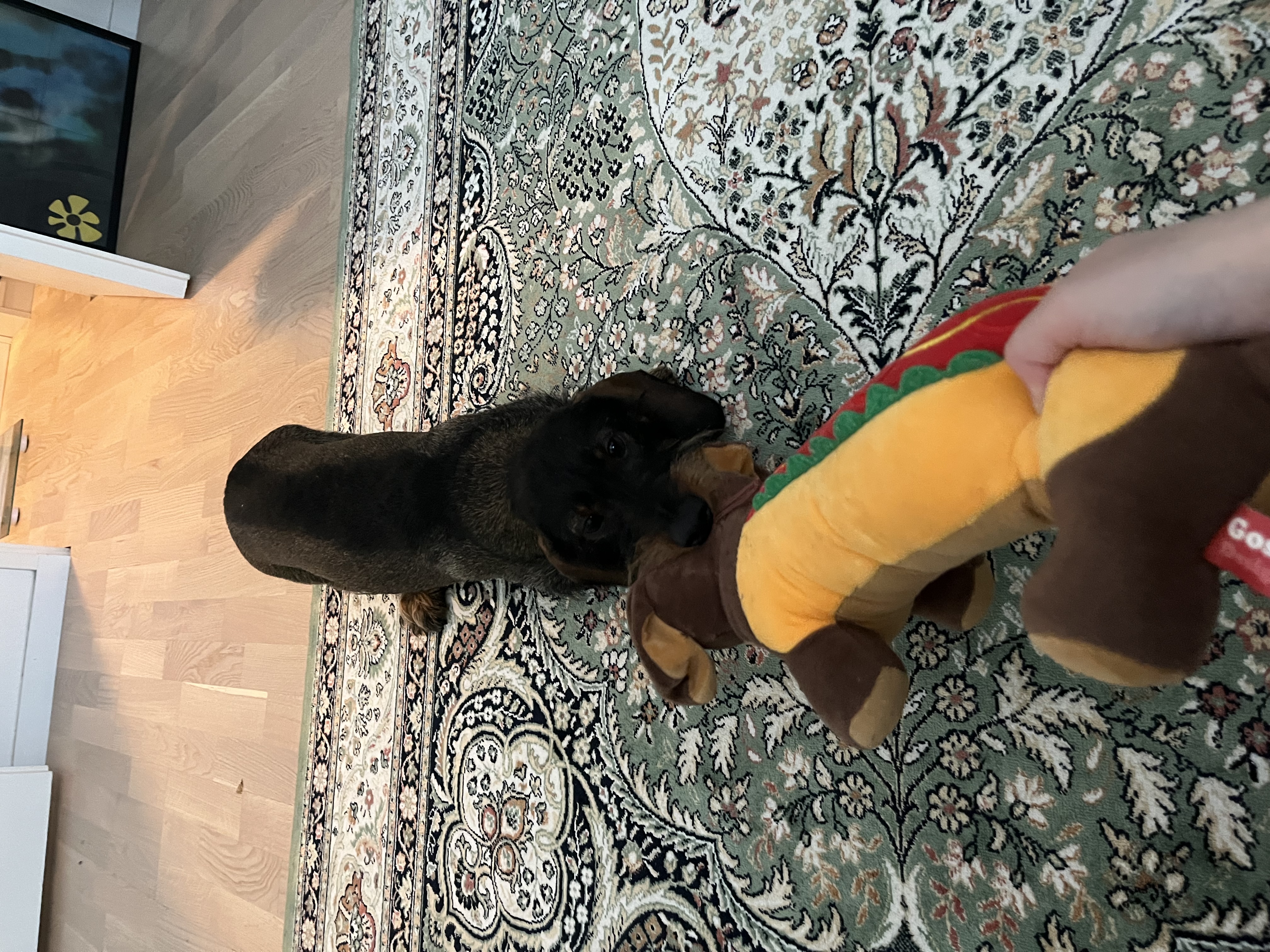 image-8