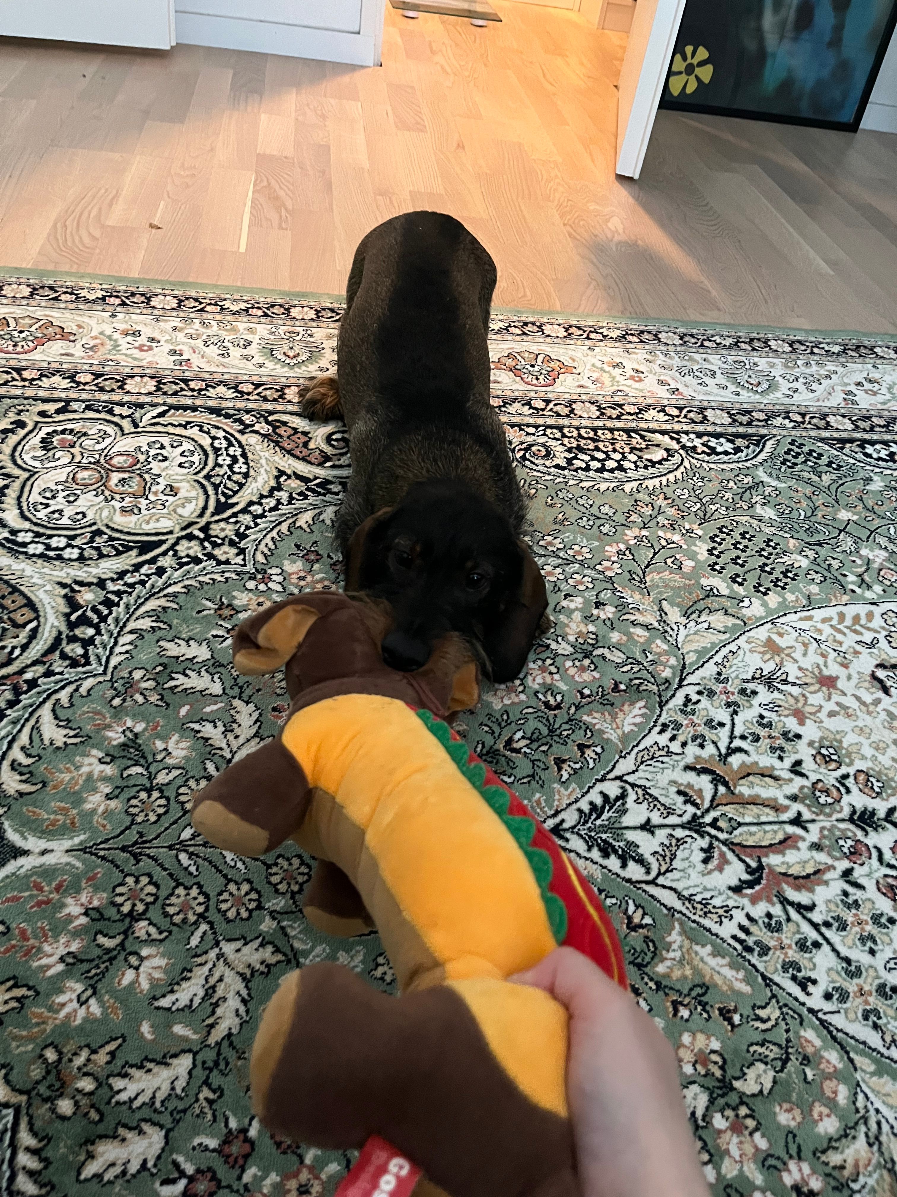 image-8
