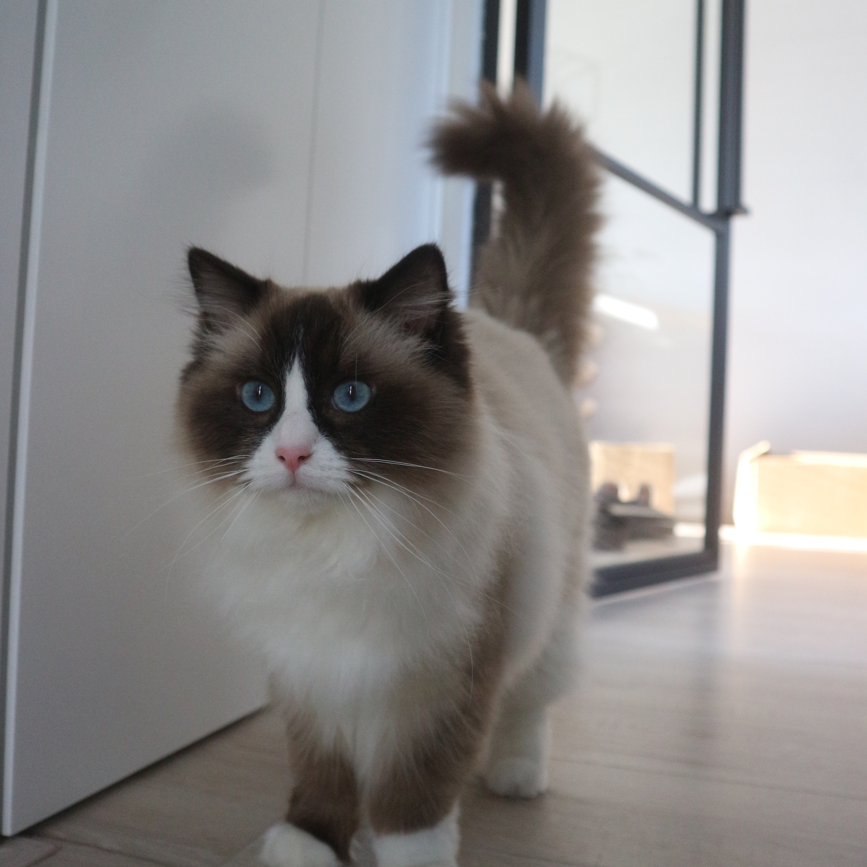 Milo