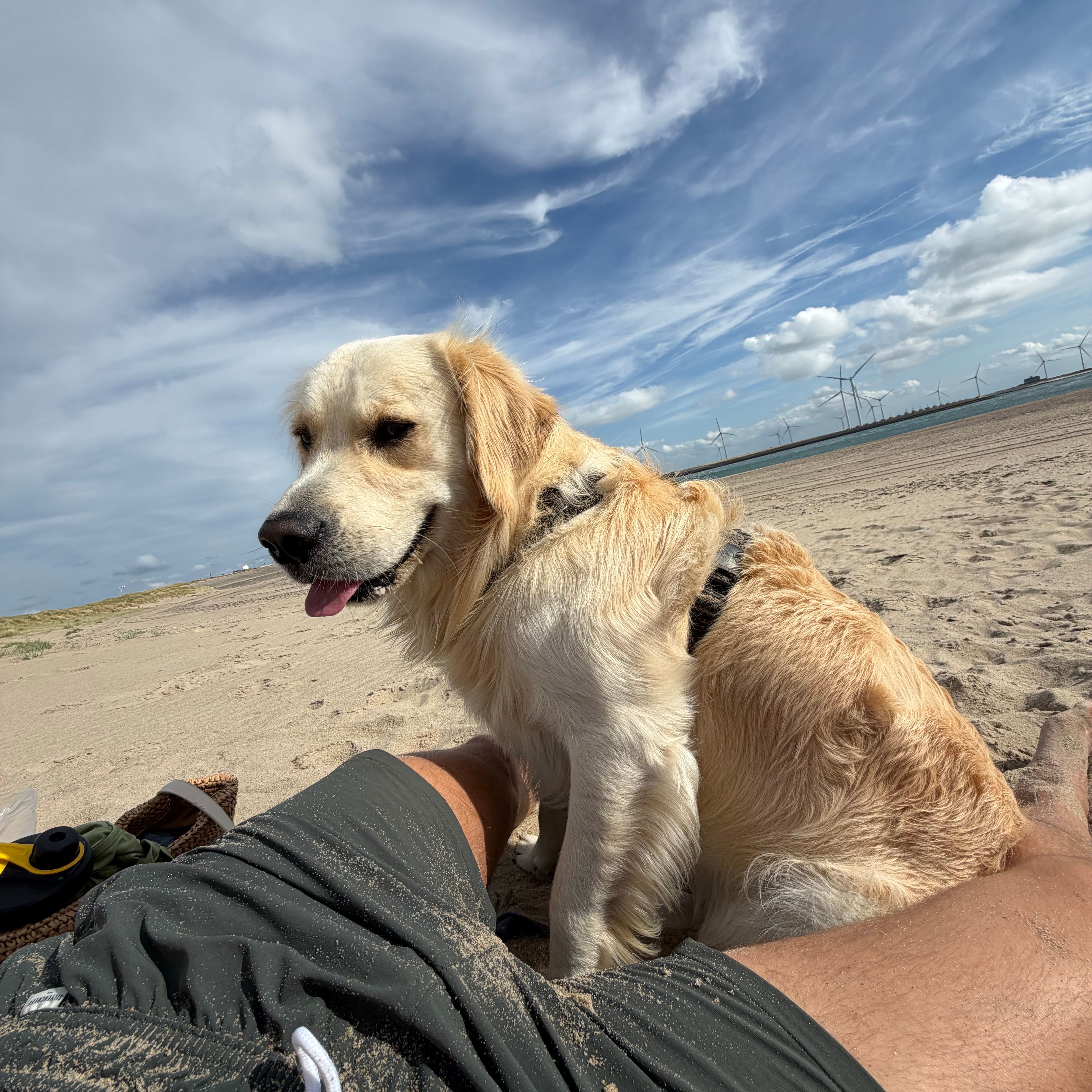 Koda