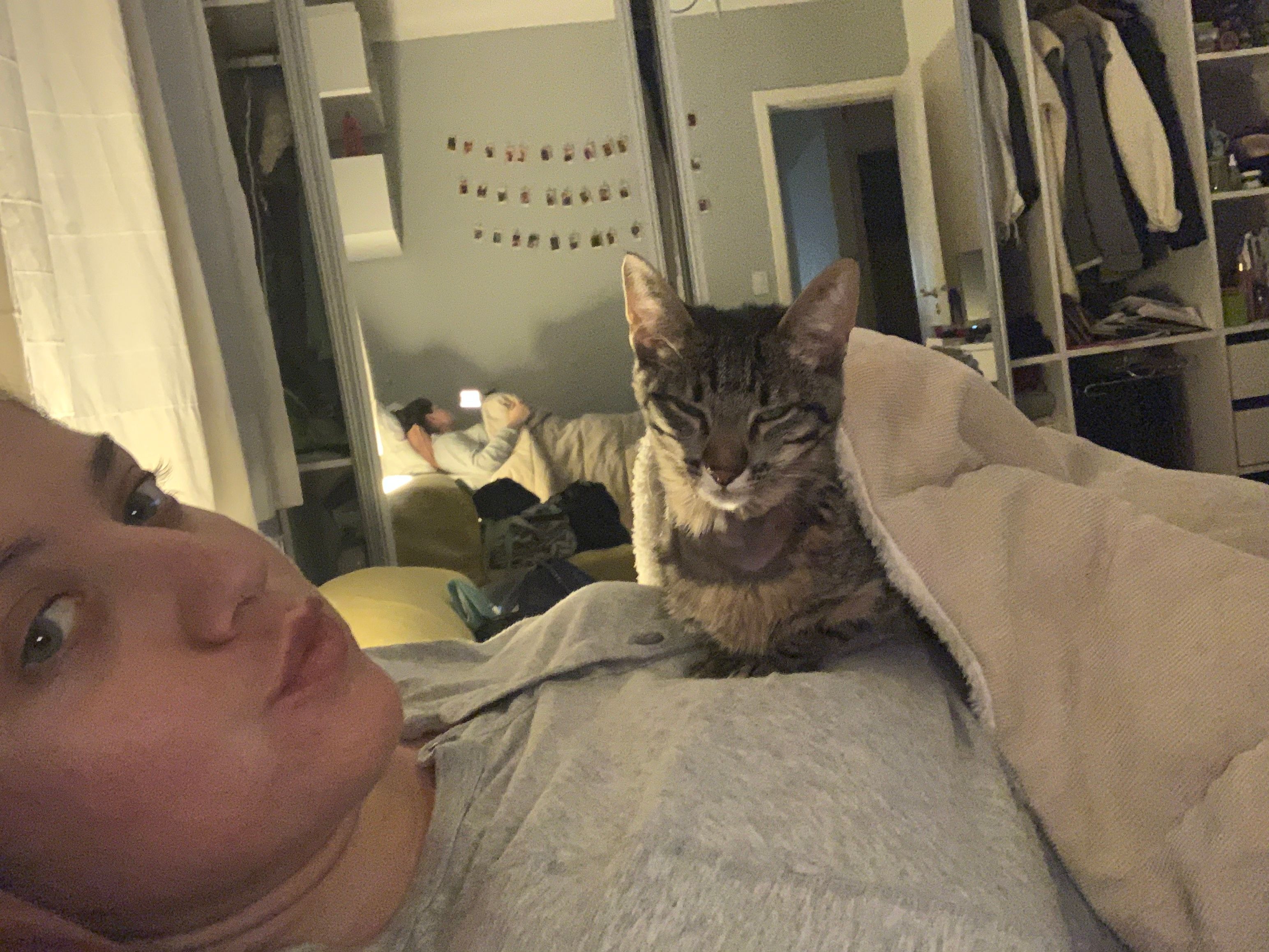 image-5