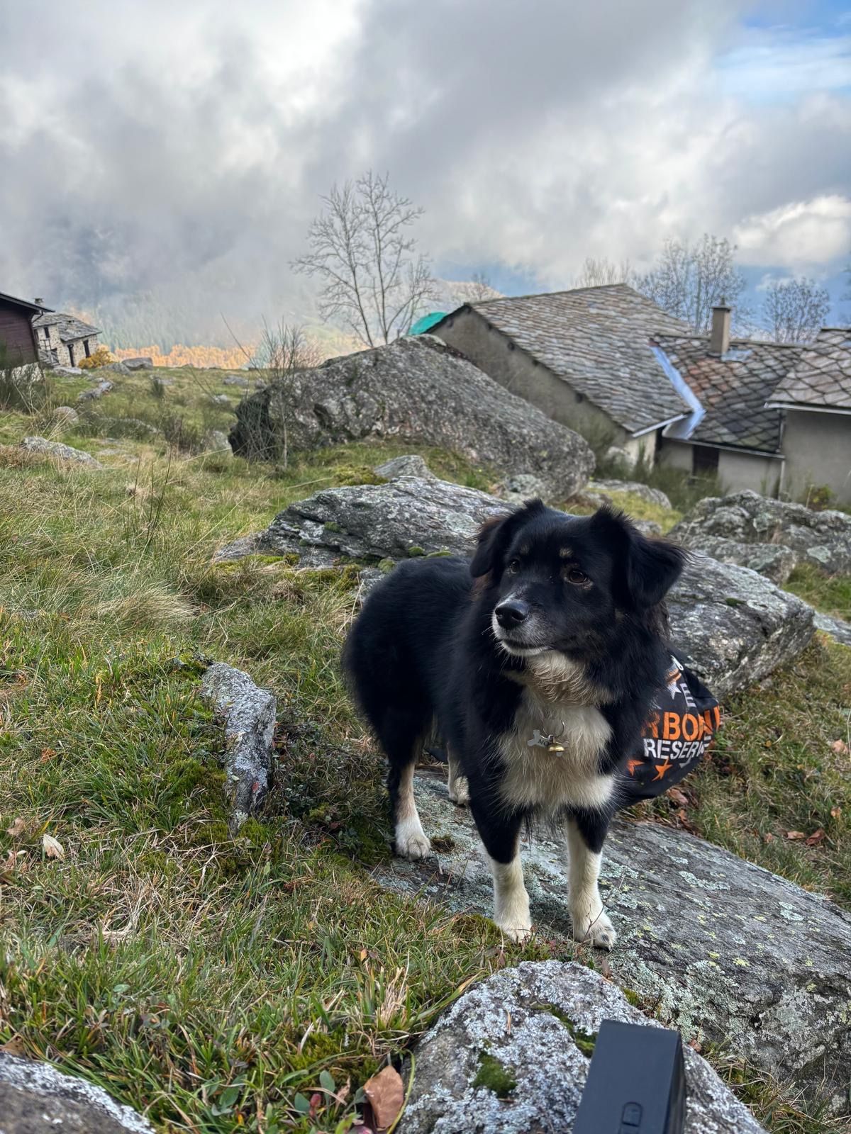 image-5