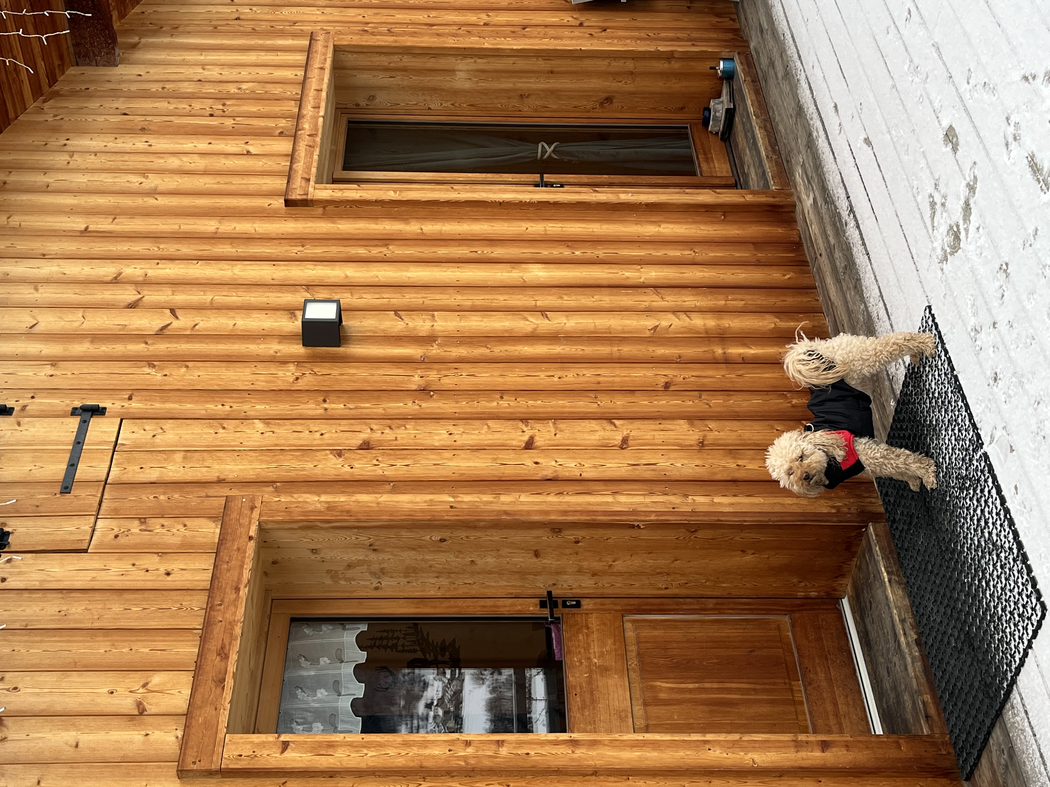 image-8
