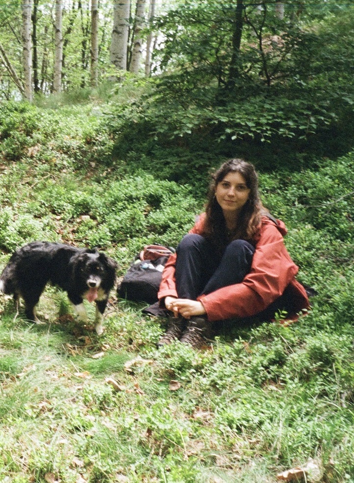 image-4