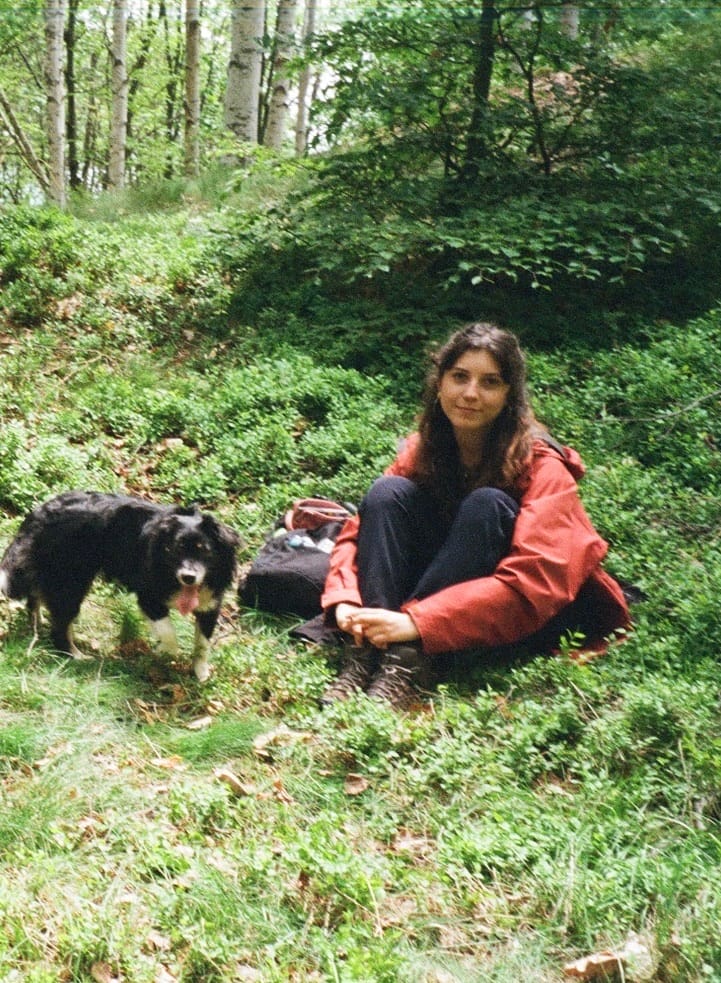 image-4