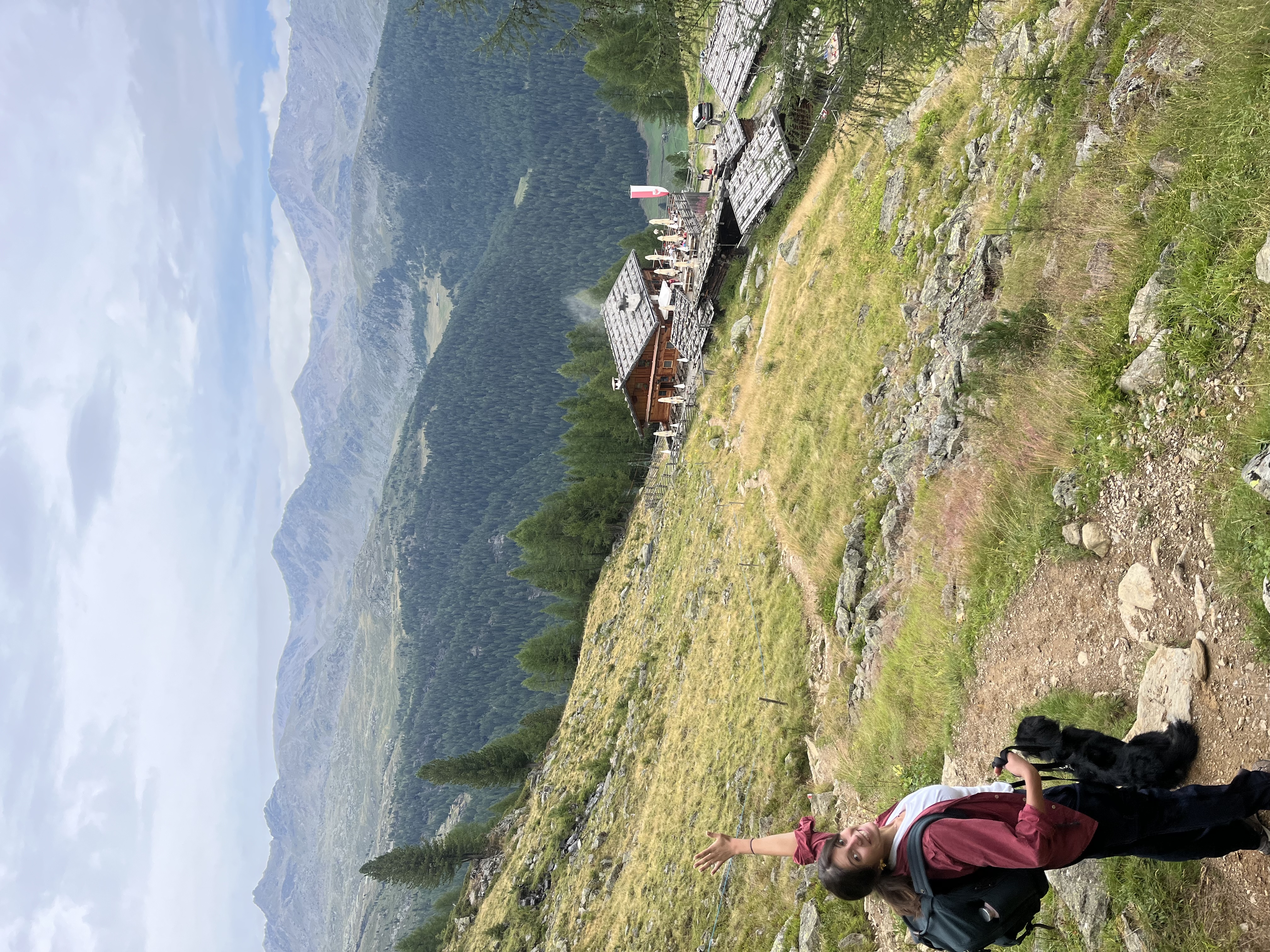 image-7