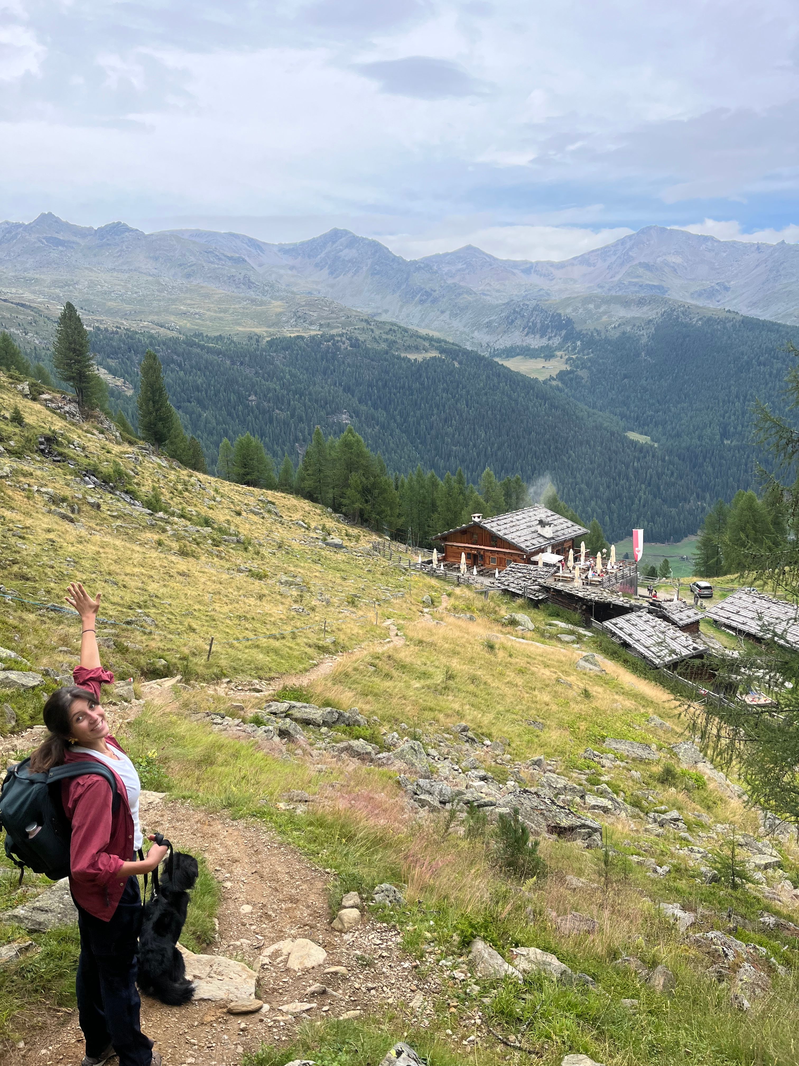 image-7