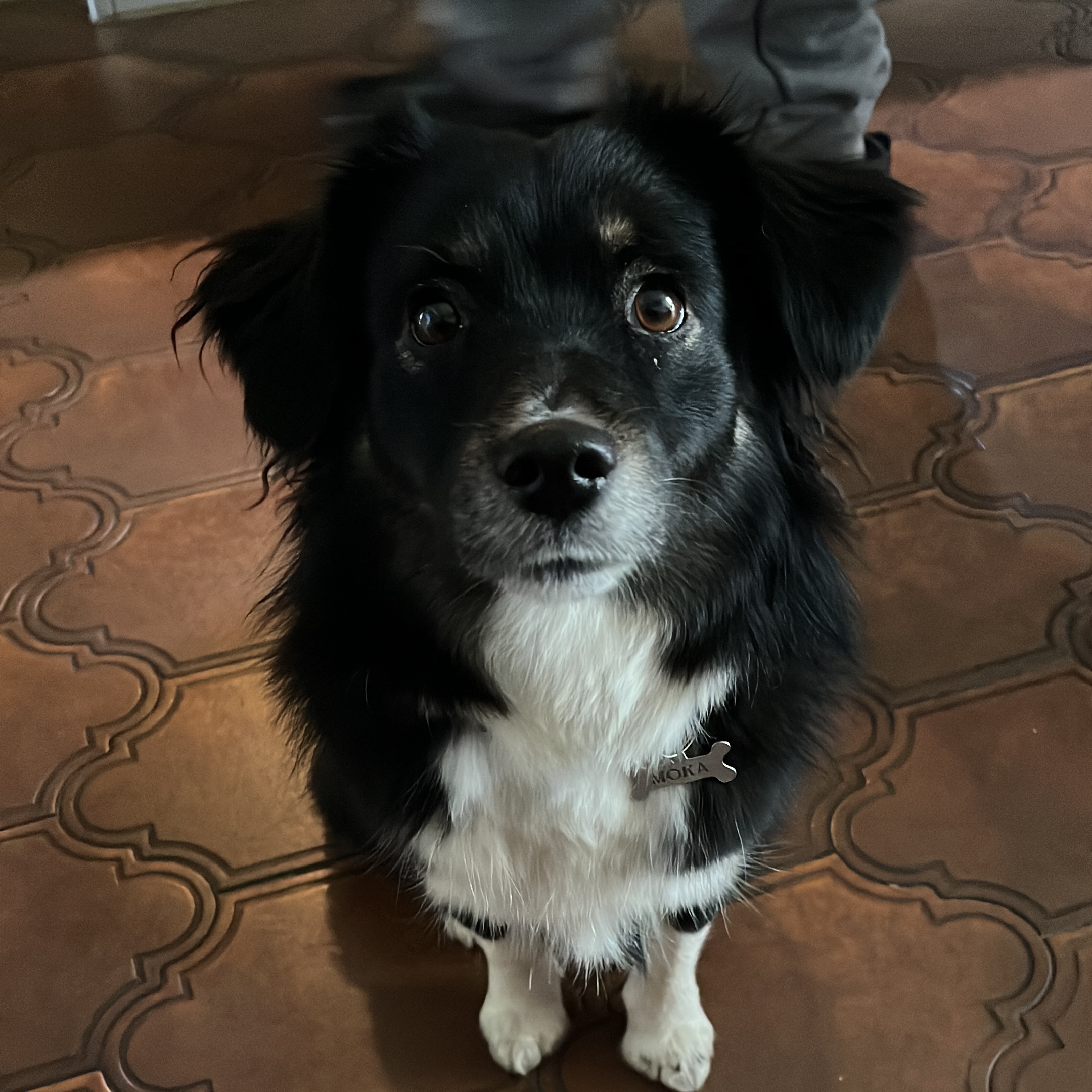 Moka