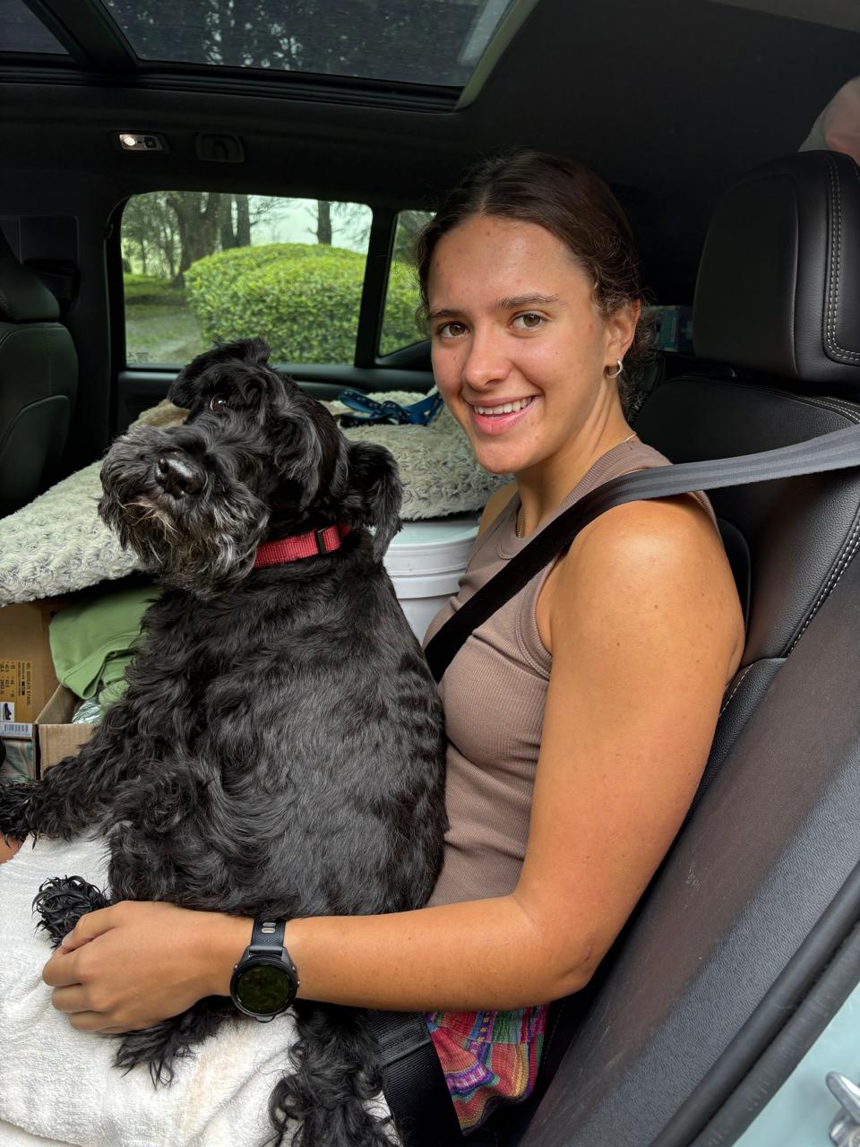 image-2