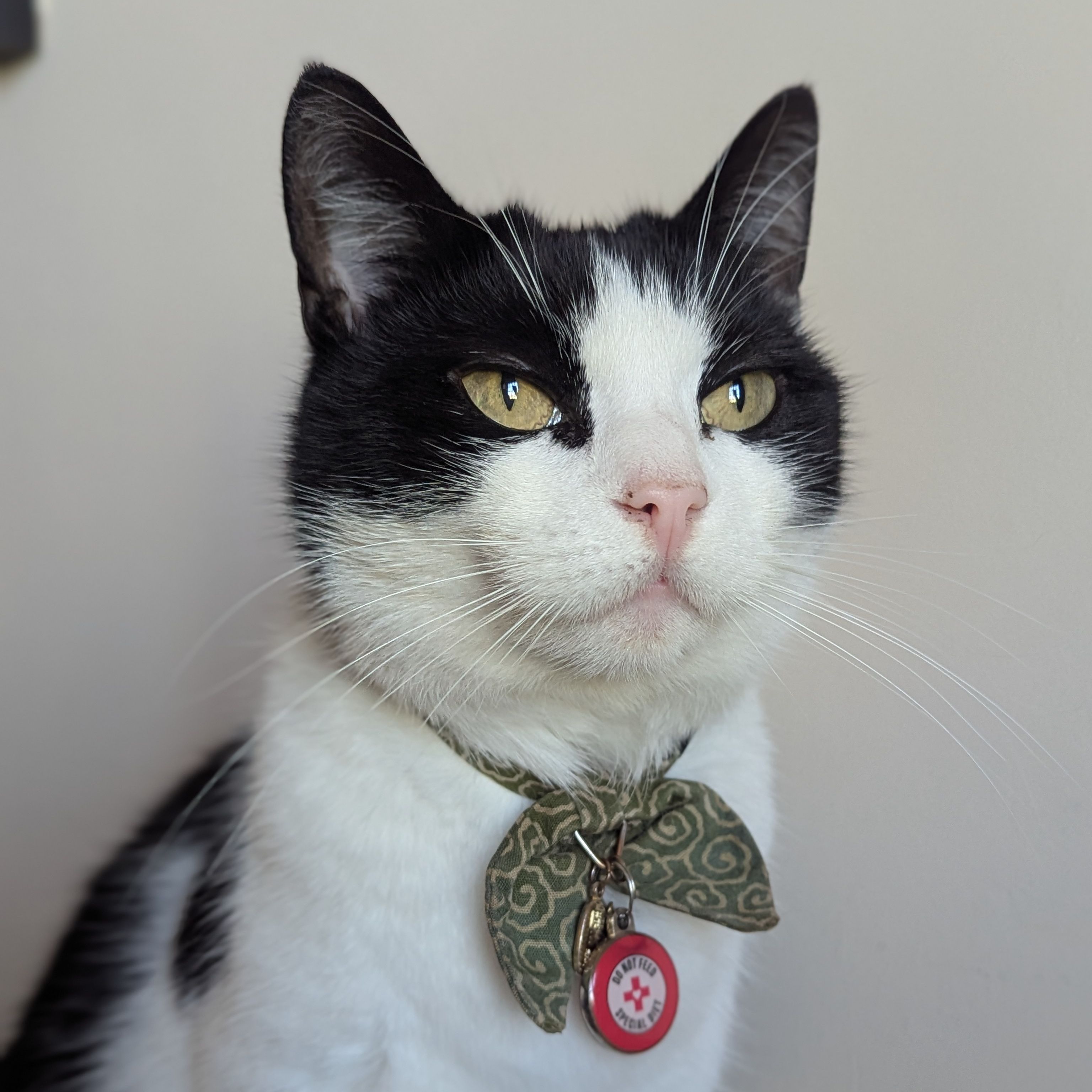 Stacey (nickname KitKat)