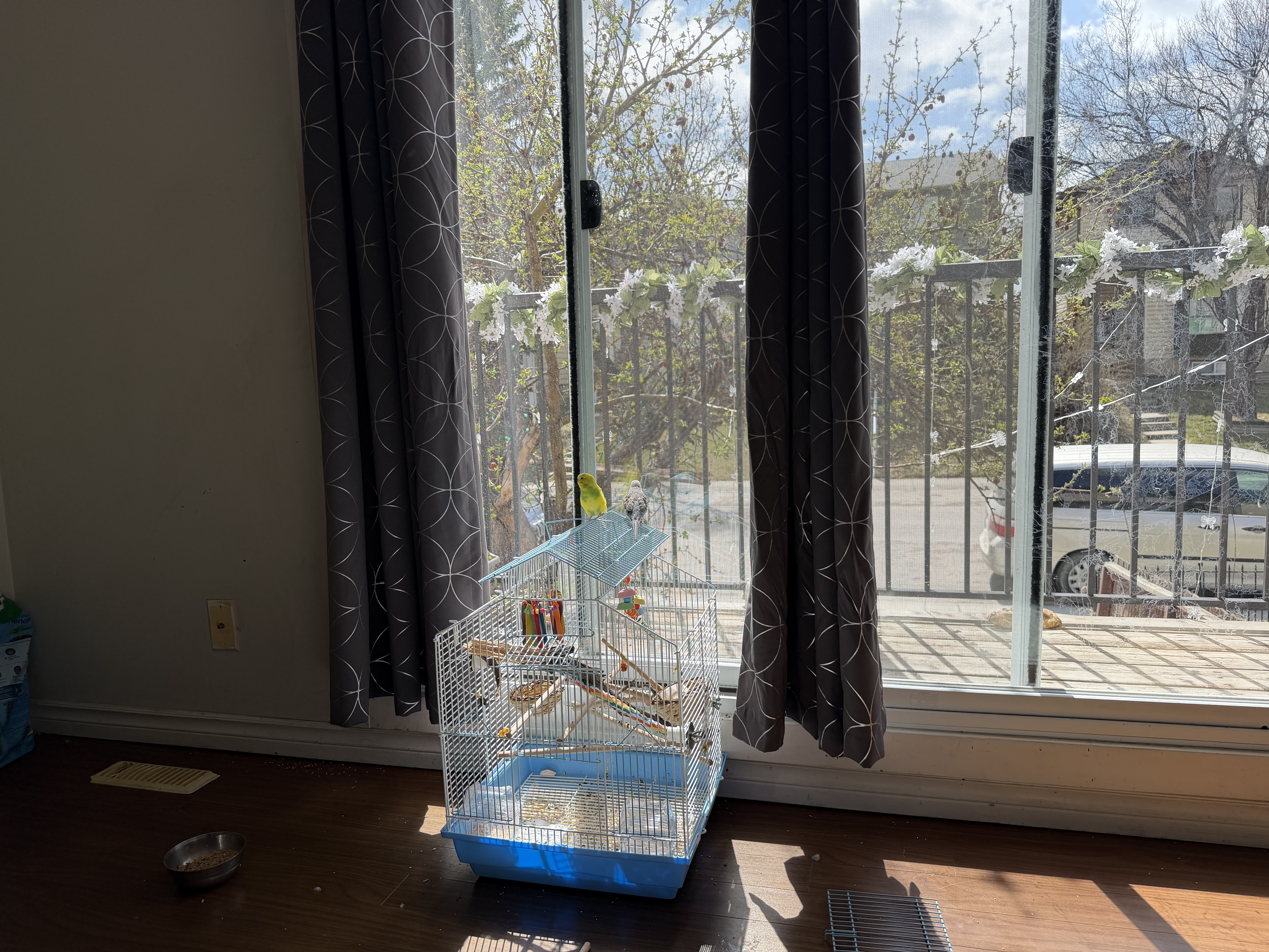 image-14