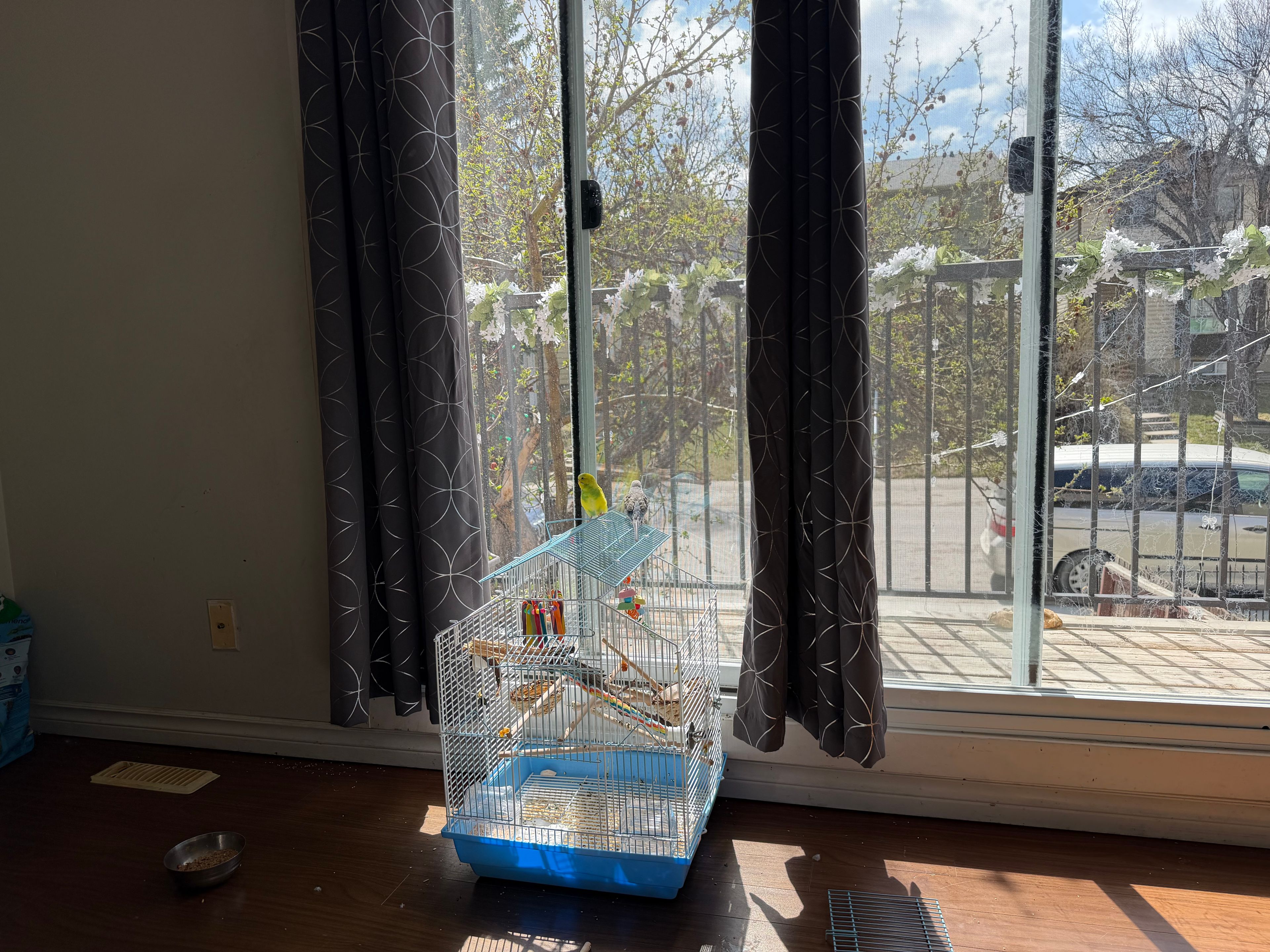 image-14