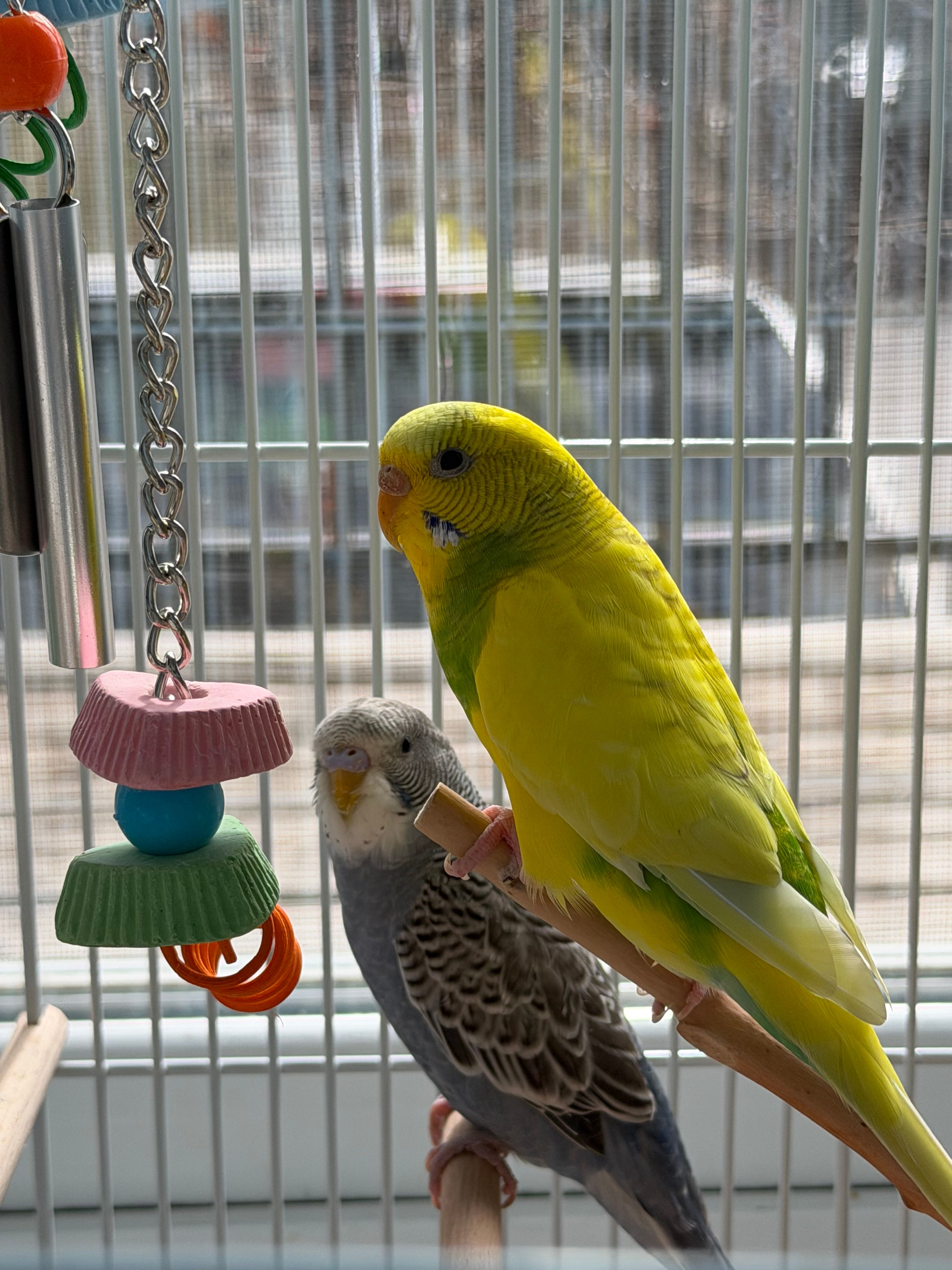image-35