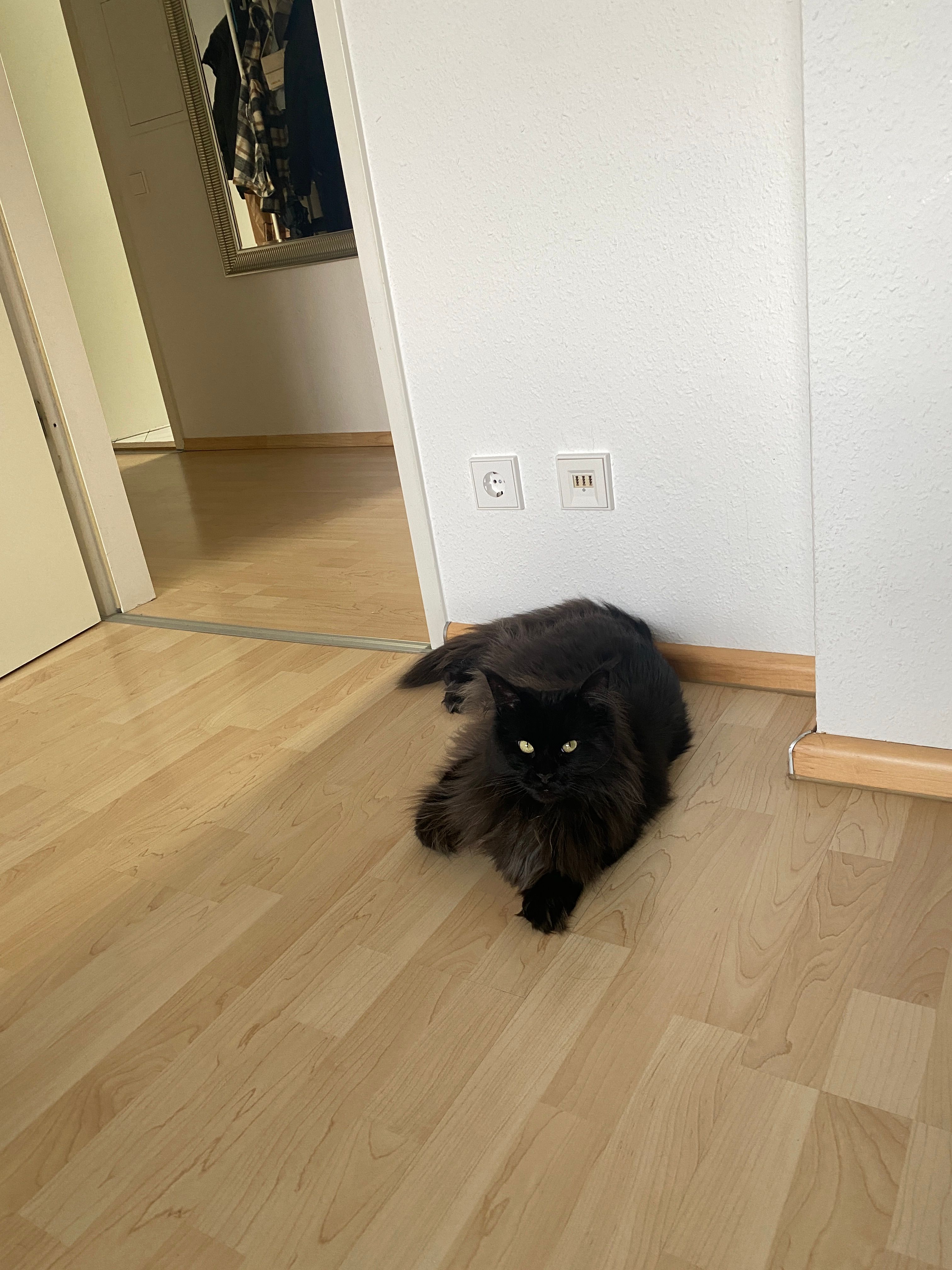 image-13