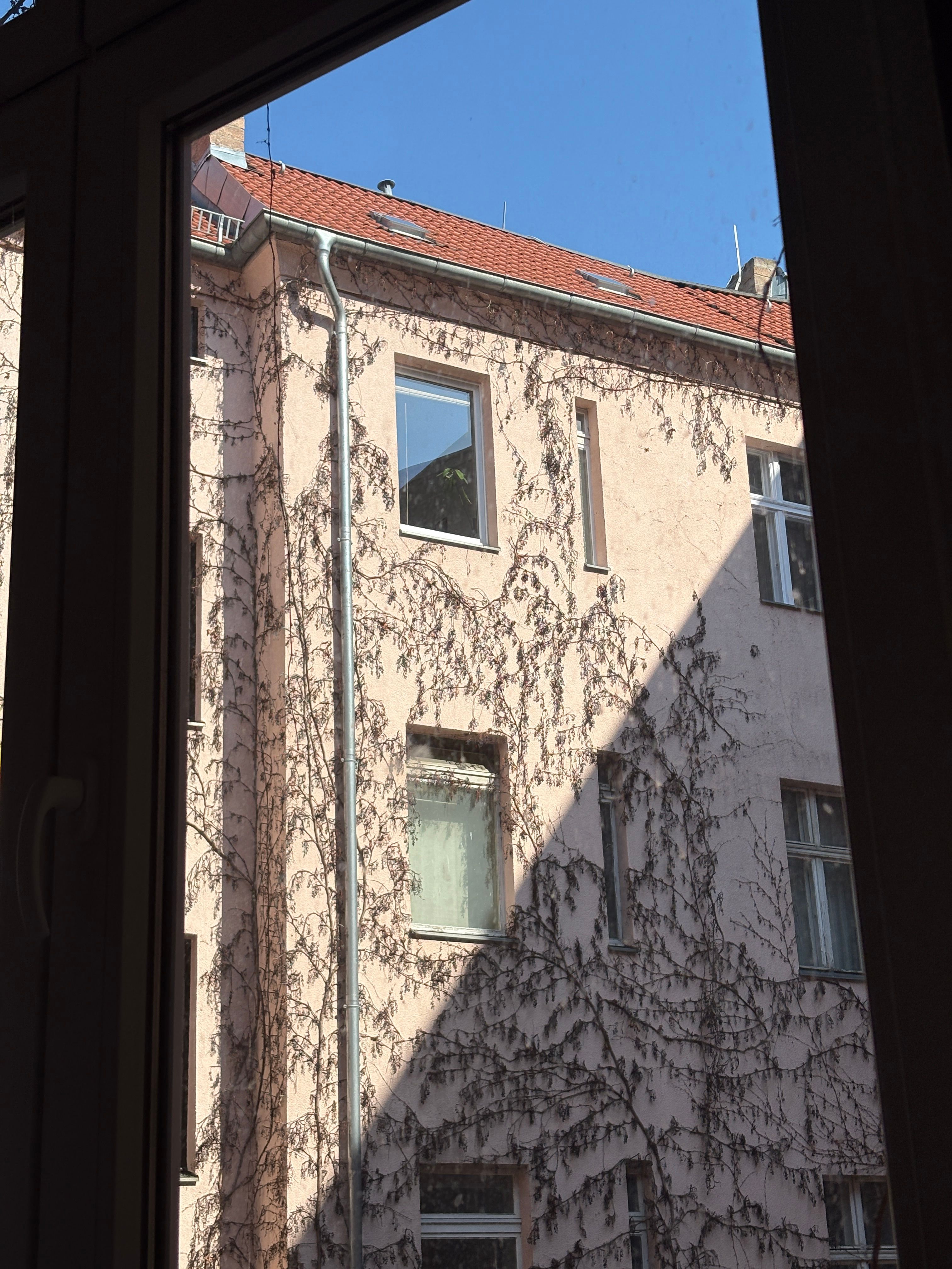 image-17