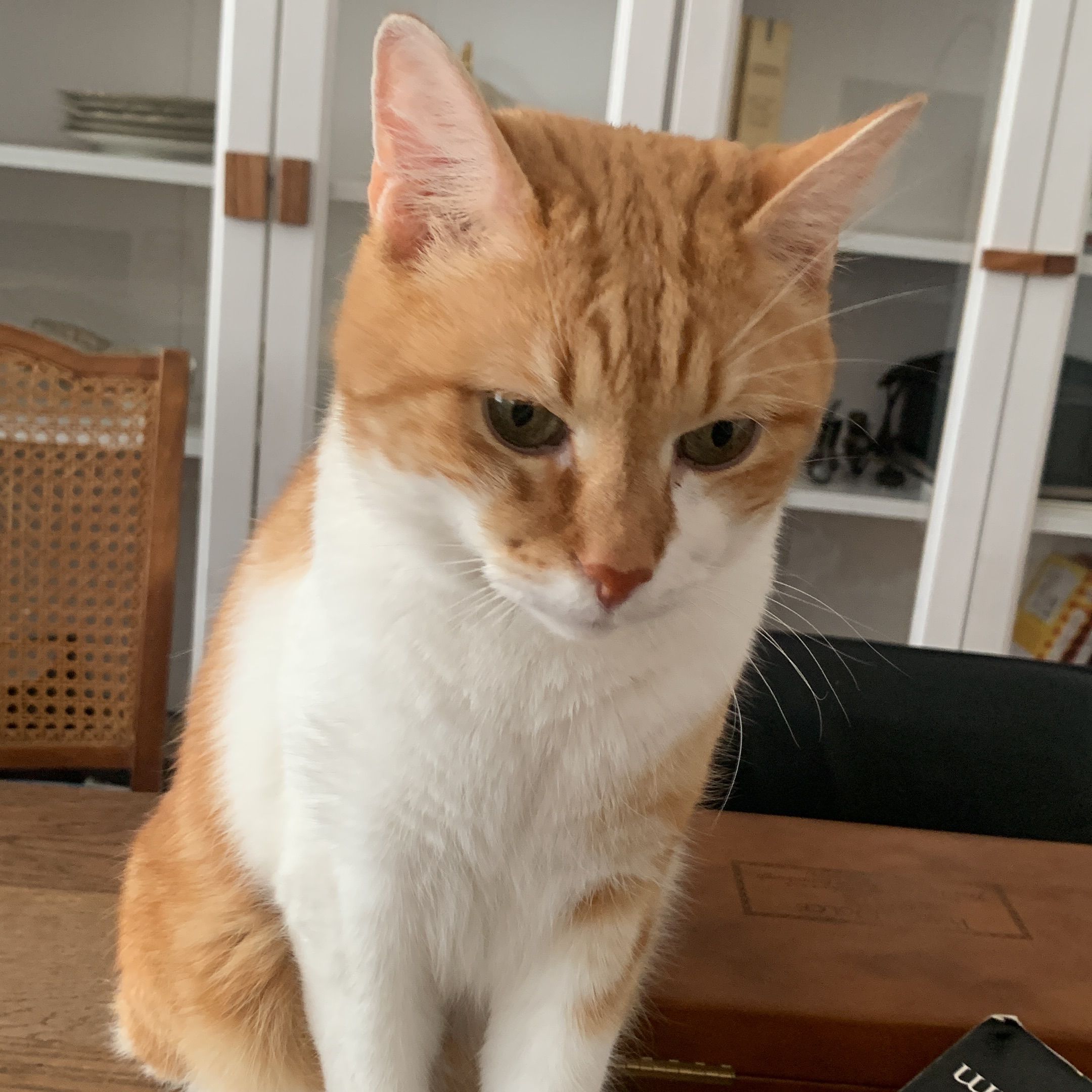Fred