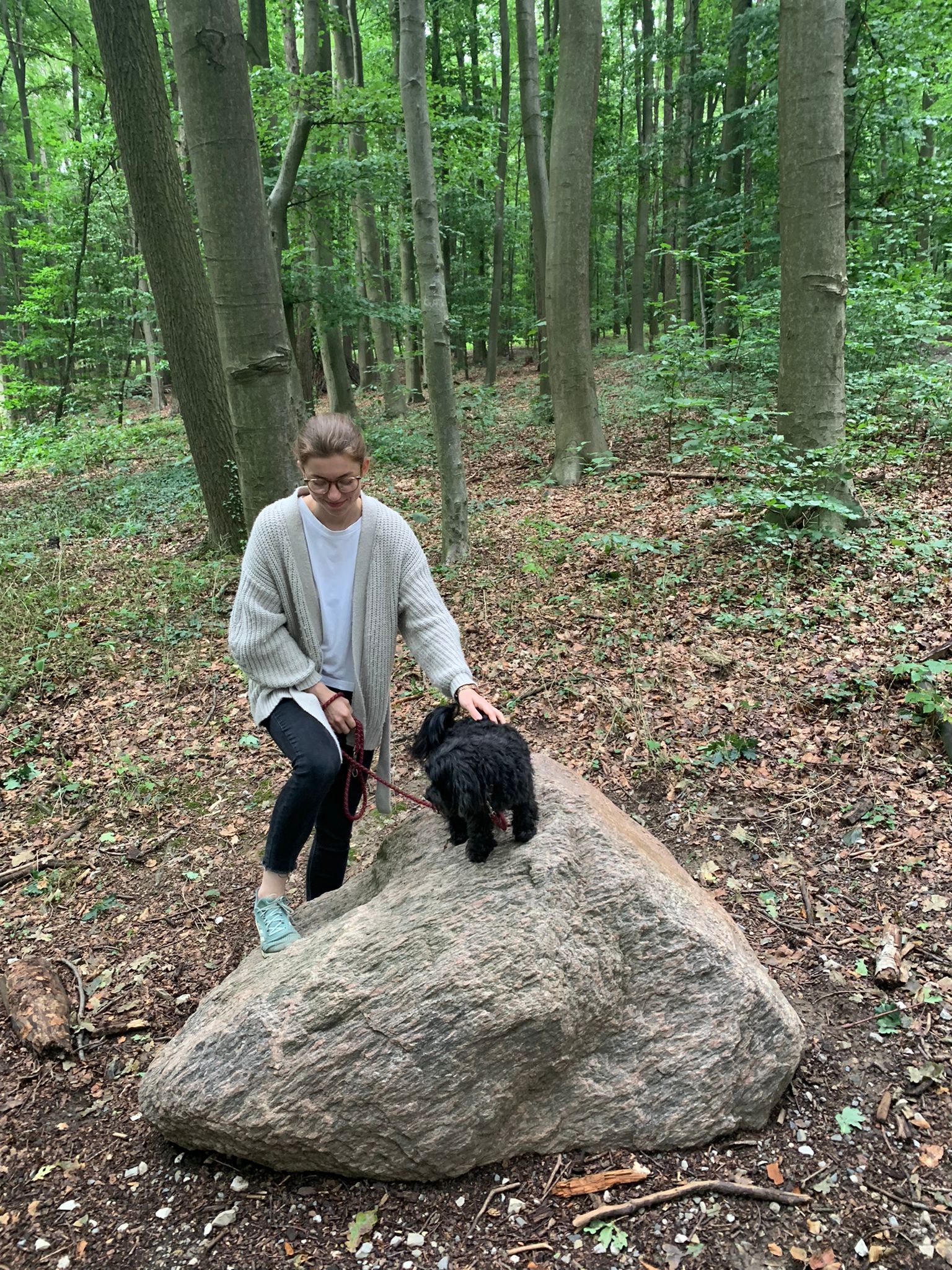 image-1