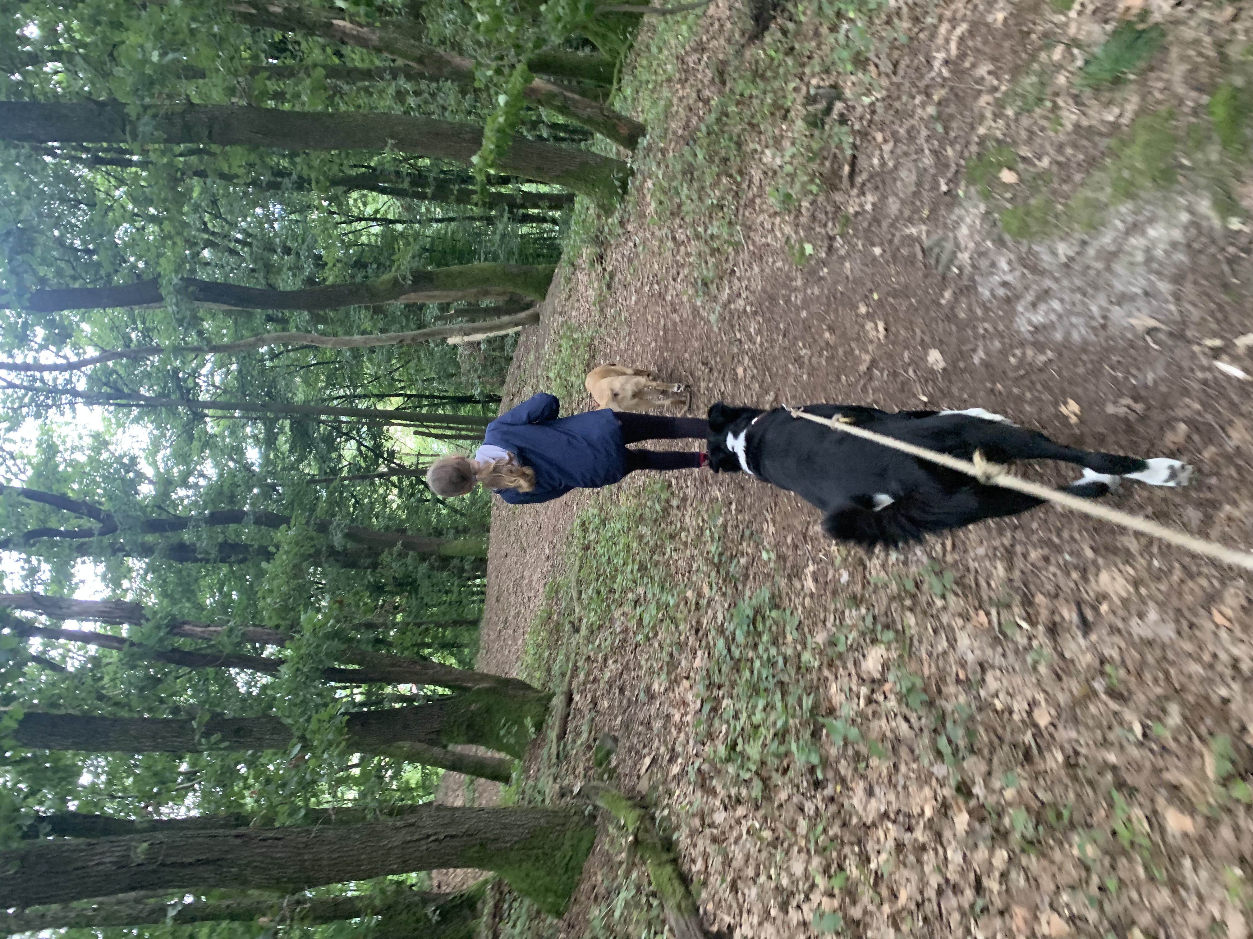 image-3