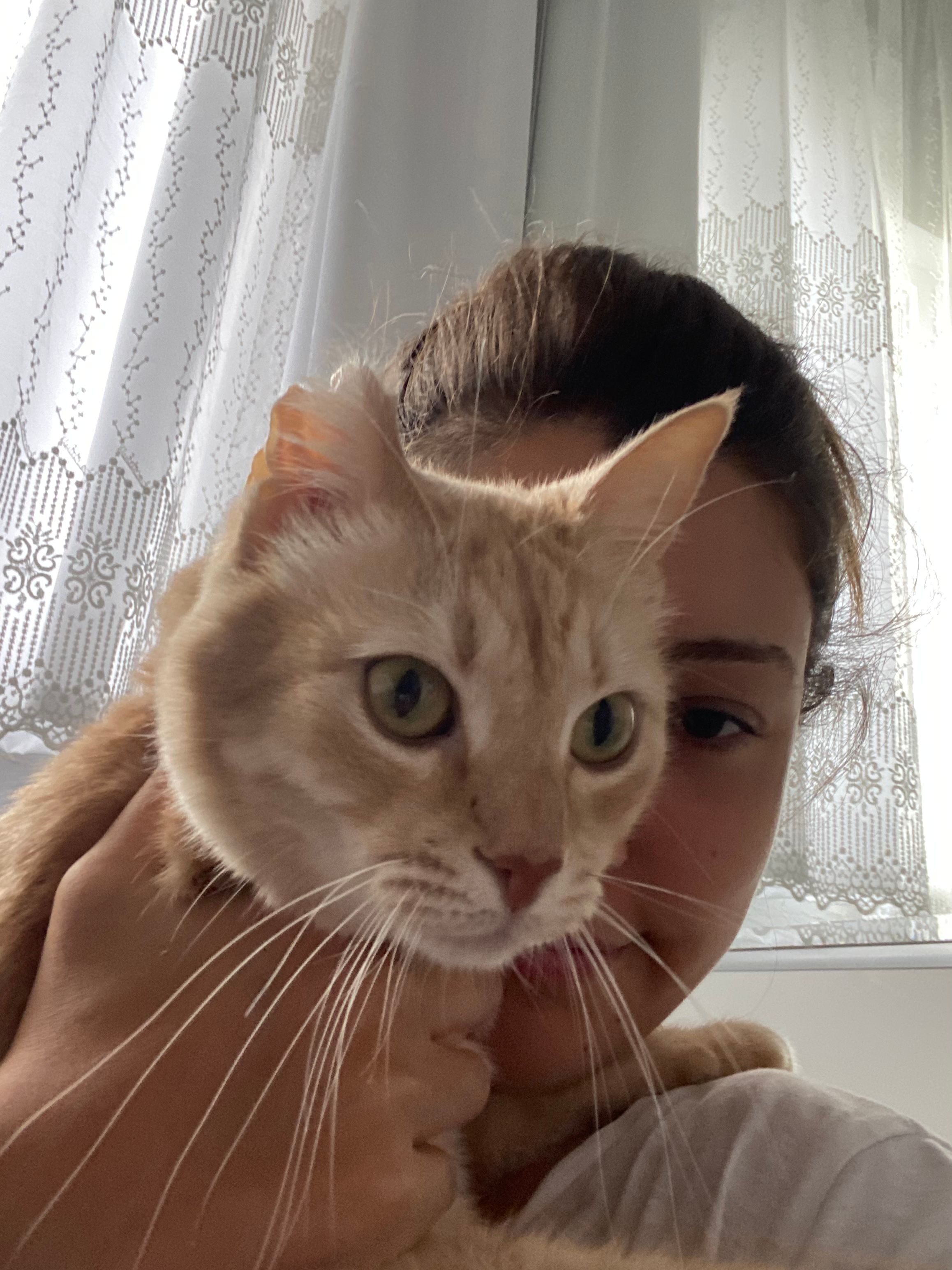 image-7