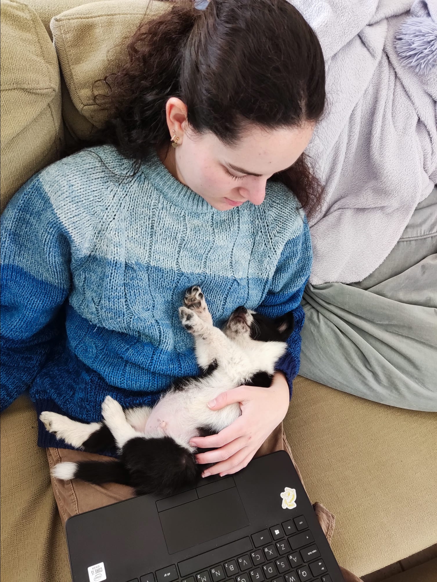 image-8
